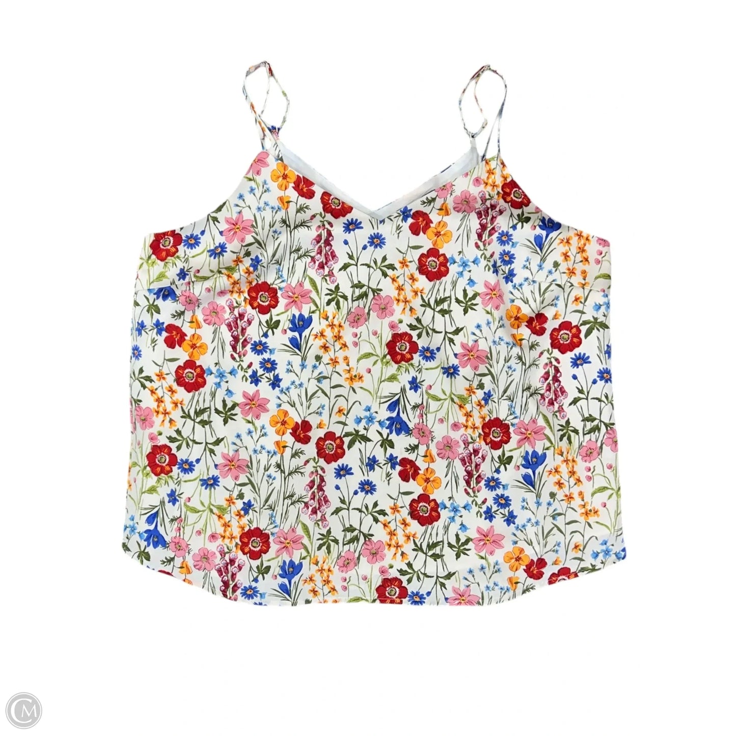 Top Sleeveless By Skies Are Blue In Floral Print, Size: 1x