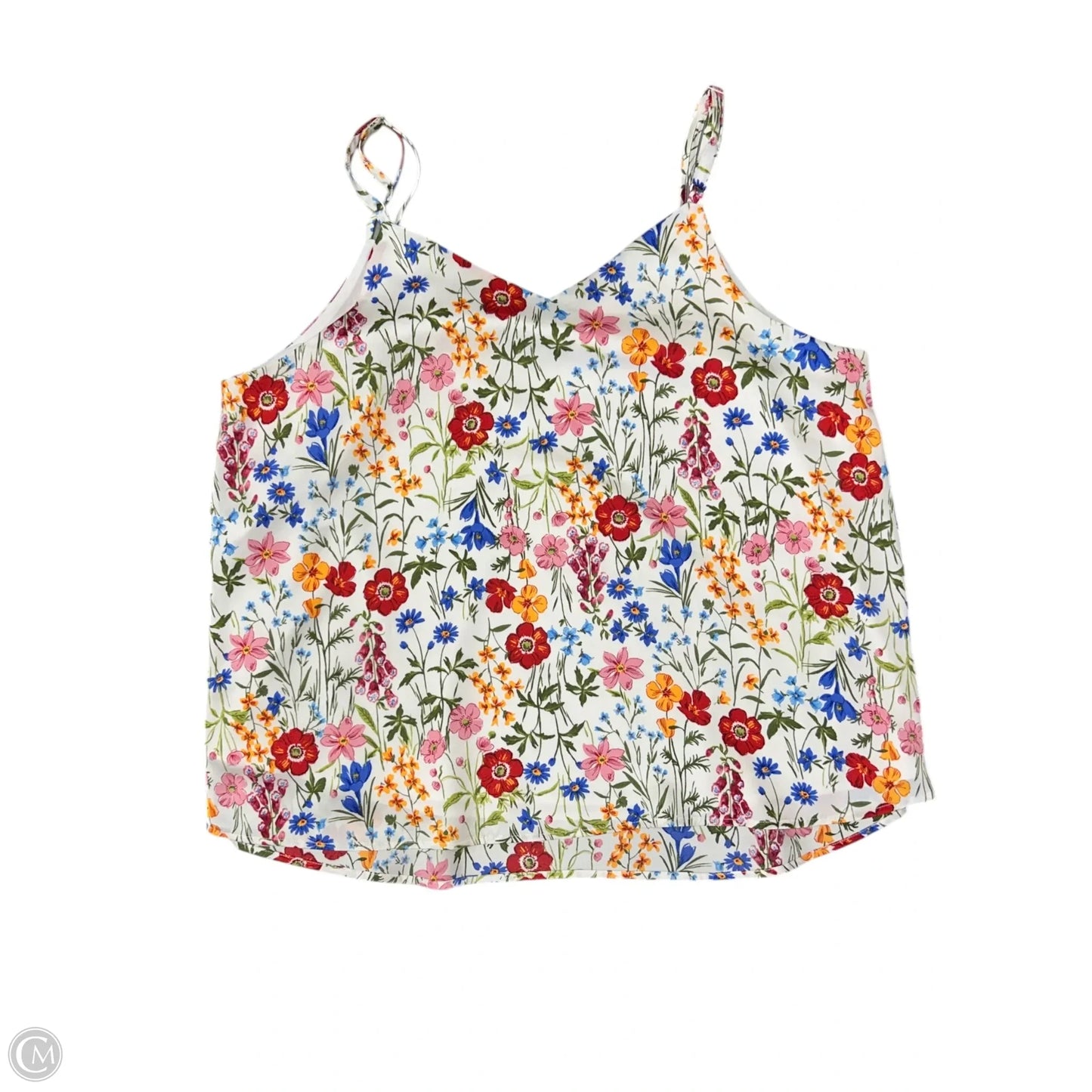 Top Sleeveless By Skies Are Blue In Floral Print, Size: 1x