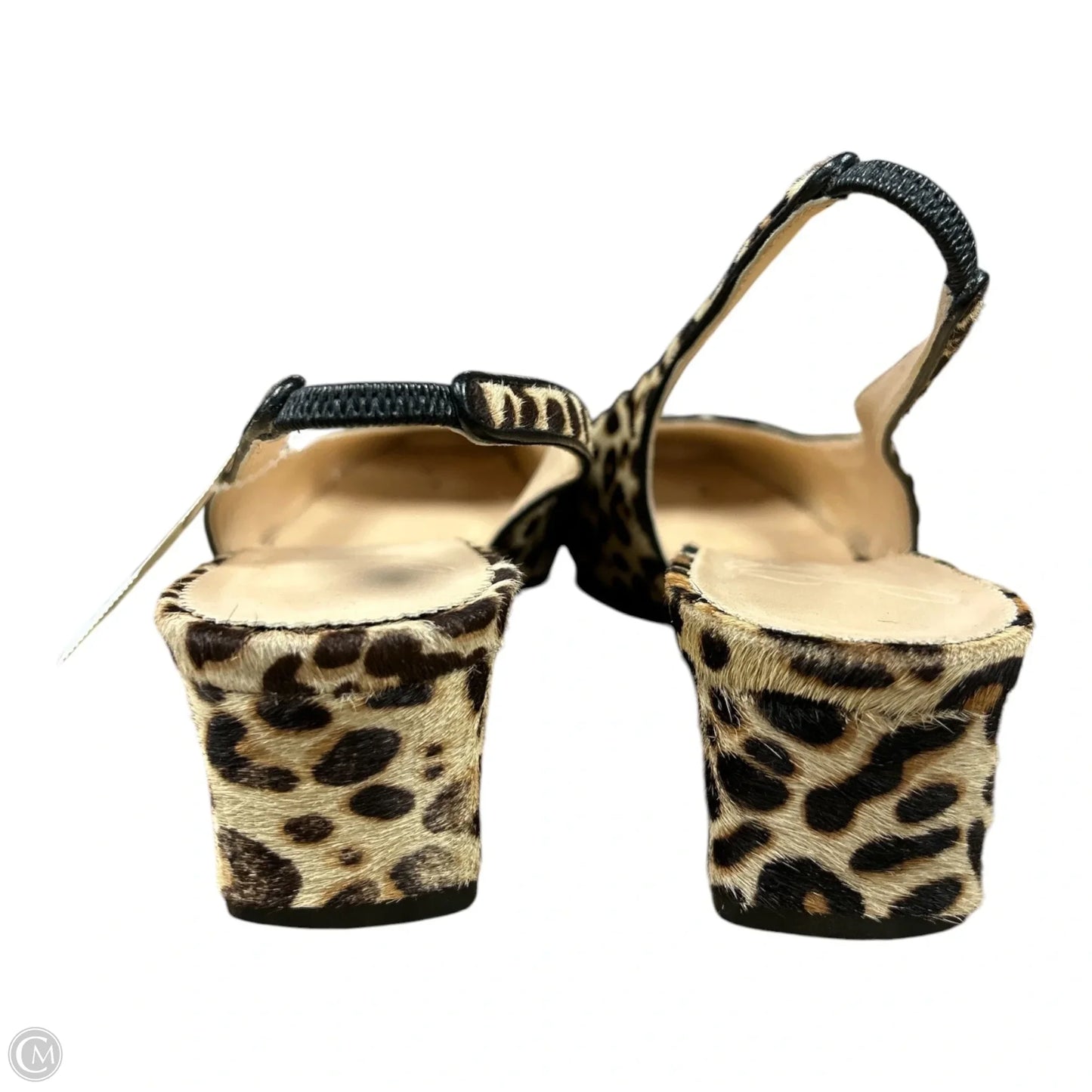 Shoes Heels Kitten By J. Crew In Leopard Print, Size: 8.5