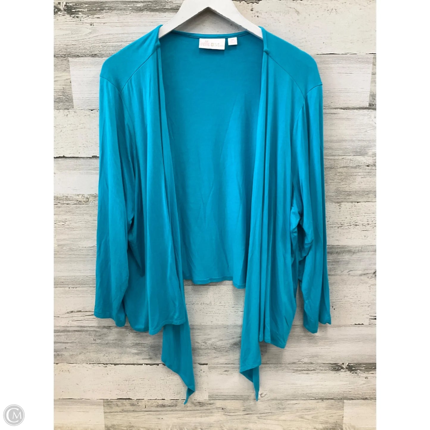 Cardigan By Clothes Mentor In Blue, Size: 2x