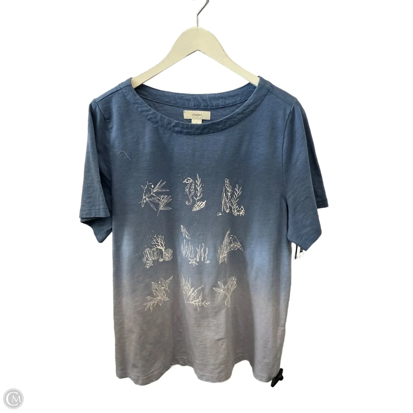 Top Short Sleeve By Cj Banks In Ombre Print, Size: 1x