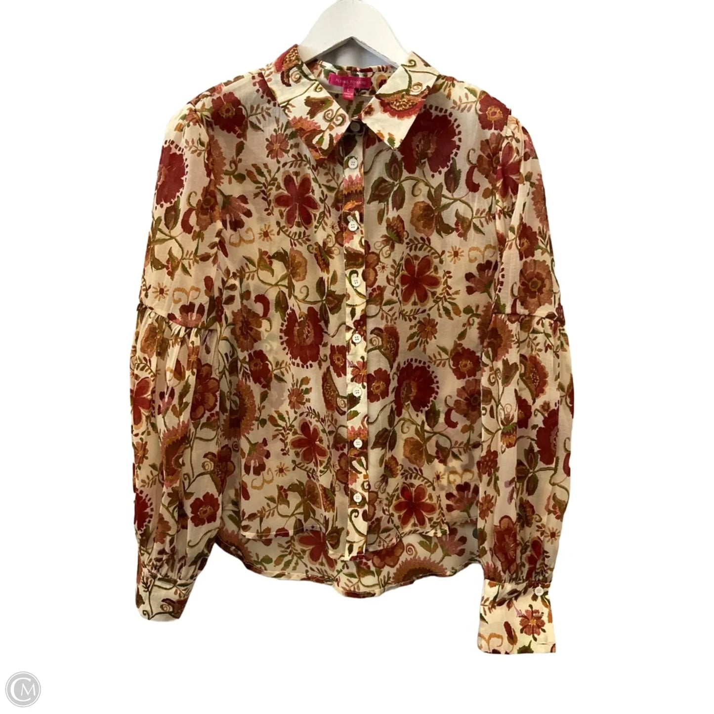 Top Long Sleeve By Flying Tomato In Cream, Size: L