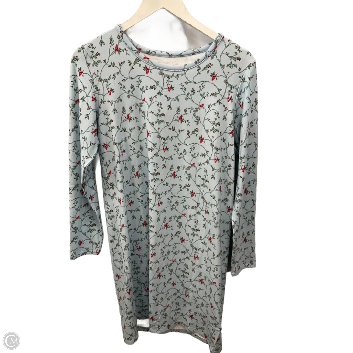 Top Long Sleeve By Charter Club In Blue & Green, Size: Xs