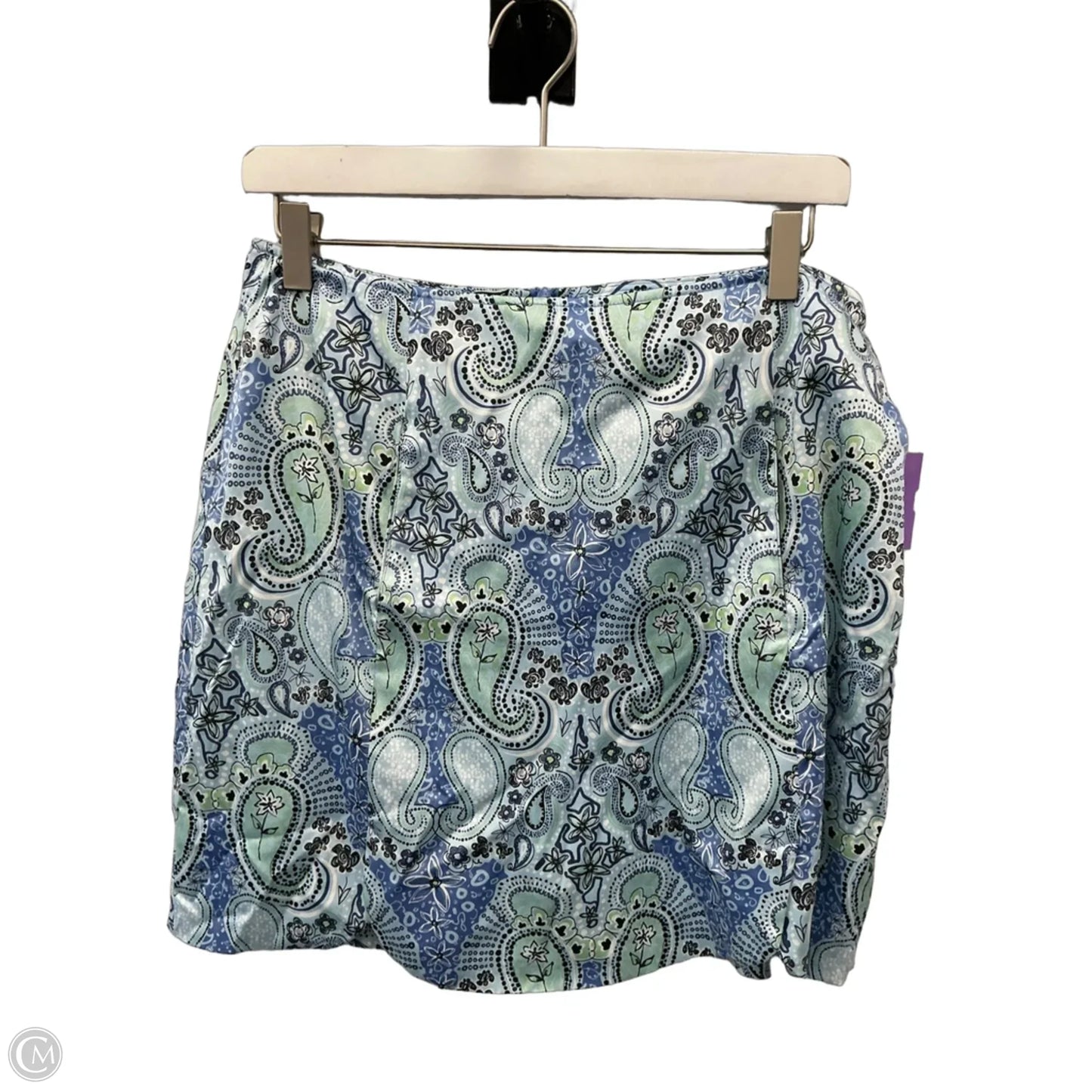 Athletic Skort By Clothes Mentor In Blue, Size: M