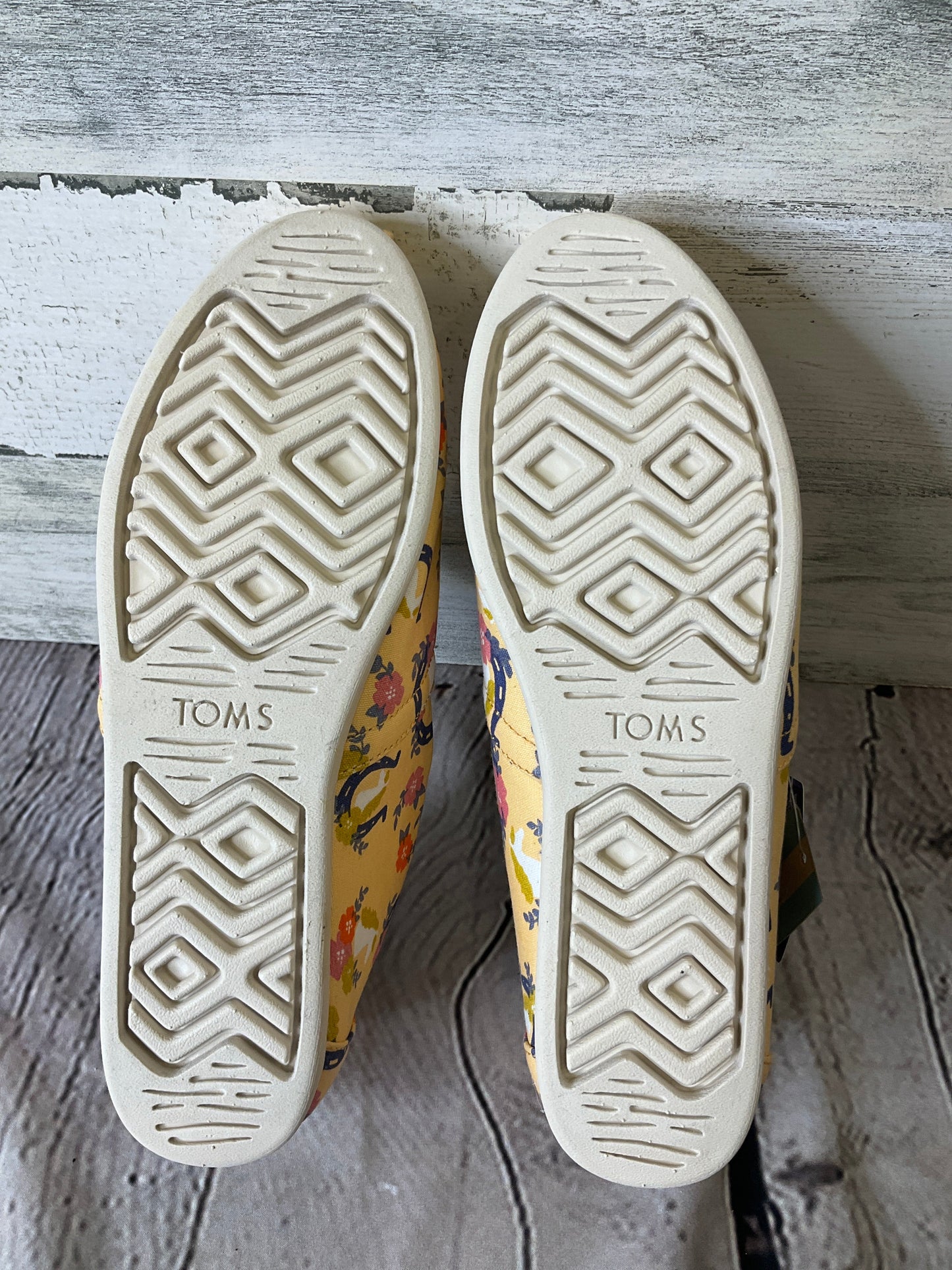 Shoes Sneakers By Toms  Size: 9