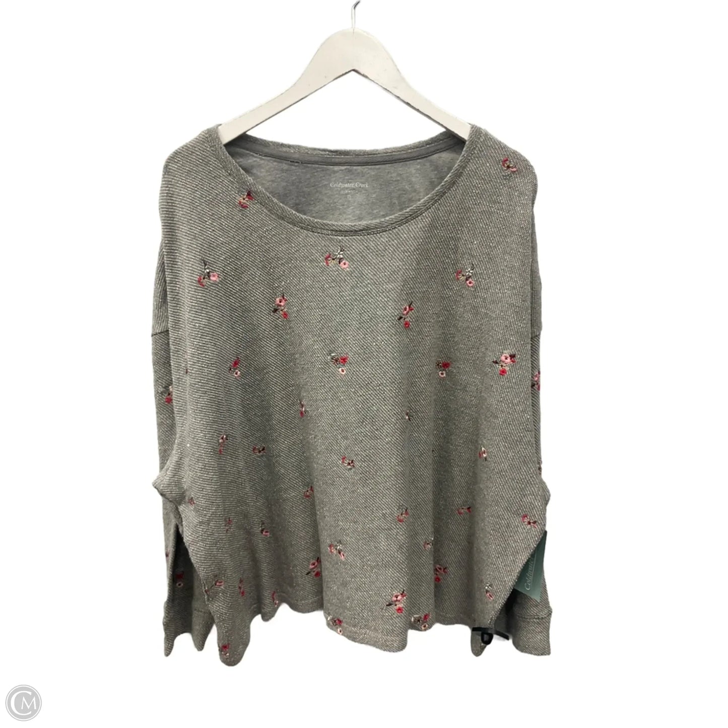 Top Long Sleeve By Coldwater Creek In Grey, Size: 3x