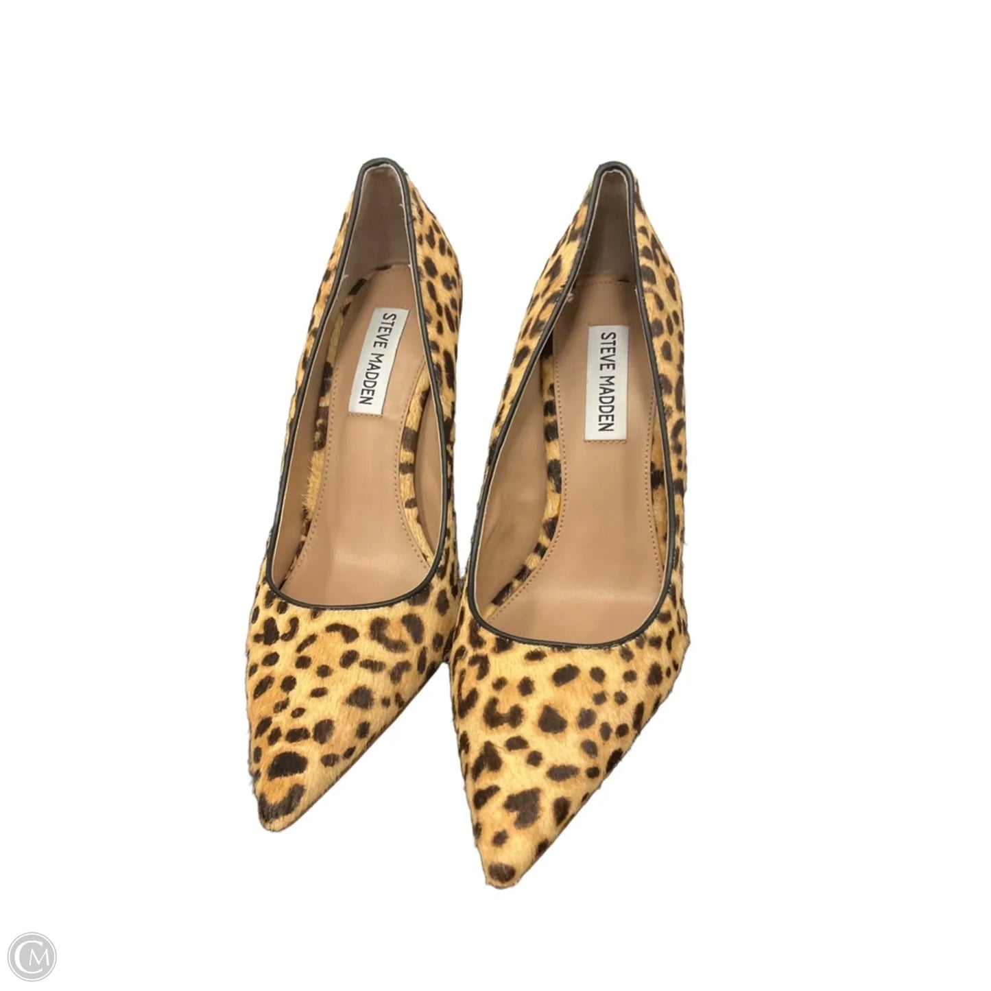 Shoes Heels Block By Steve Madden In Animal Print, Size: 7