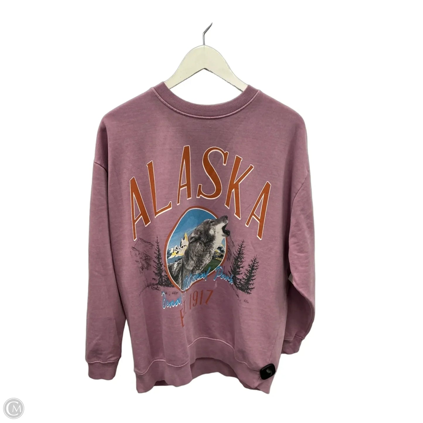 Sweatshirt Crewneck By Forever 21 In Purple, Size: S
