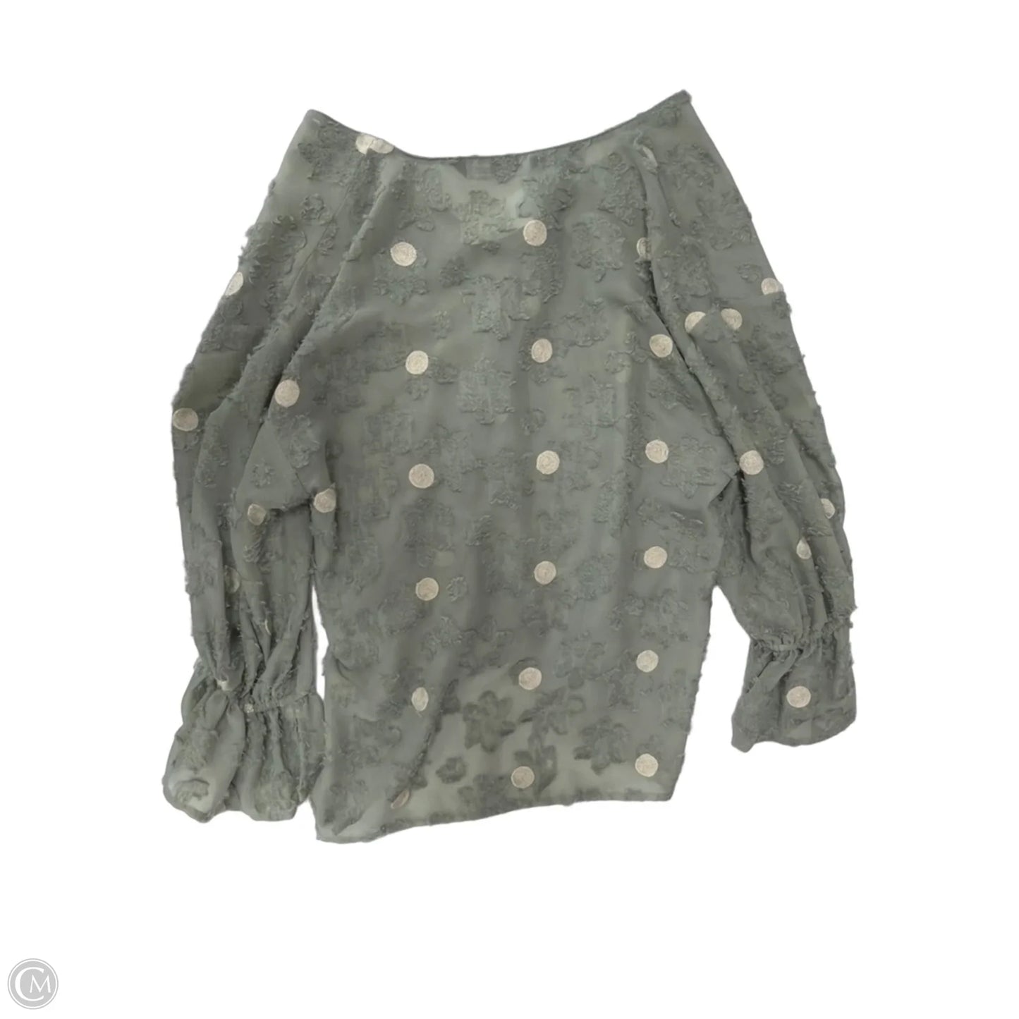 Top Long Sleeve By Zara In Green, Size: Xs