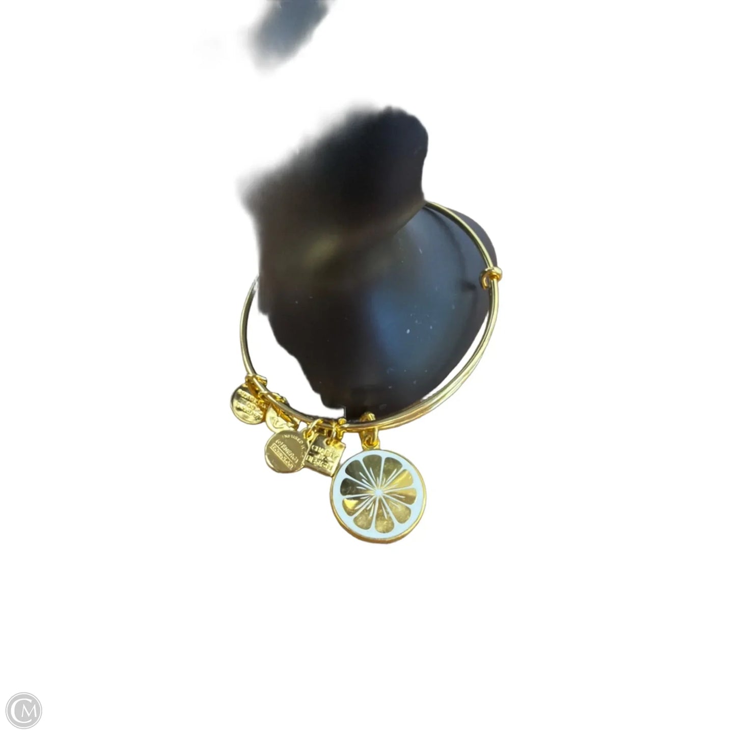 Bracelet Charm By Alex And Ani