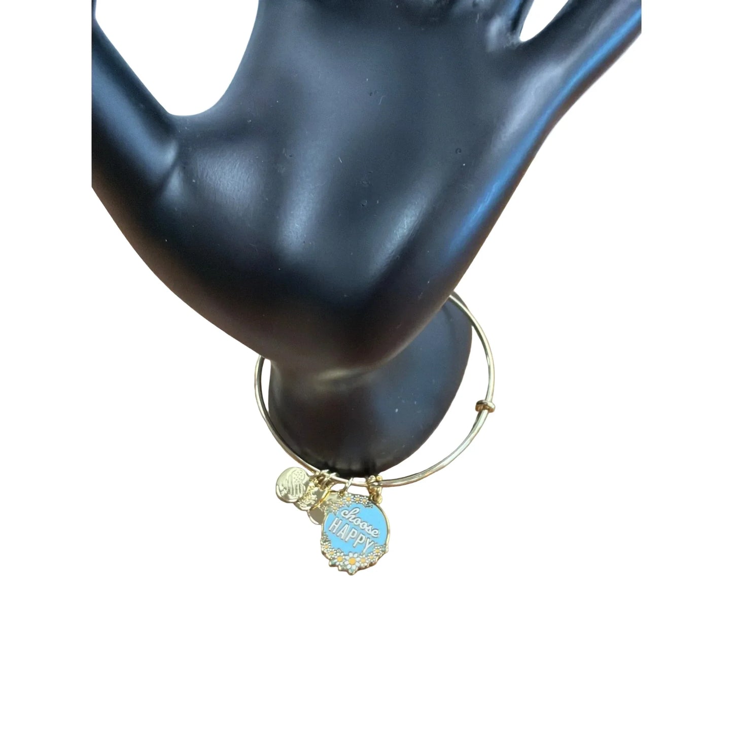 Bracelet Charm By Alex And Ani