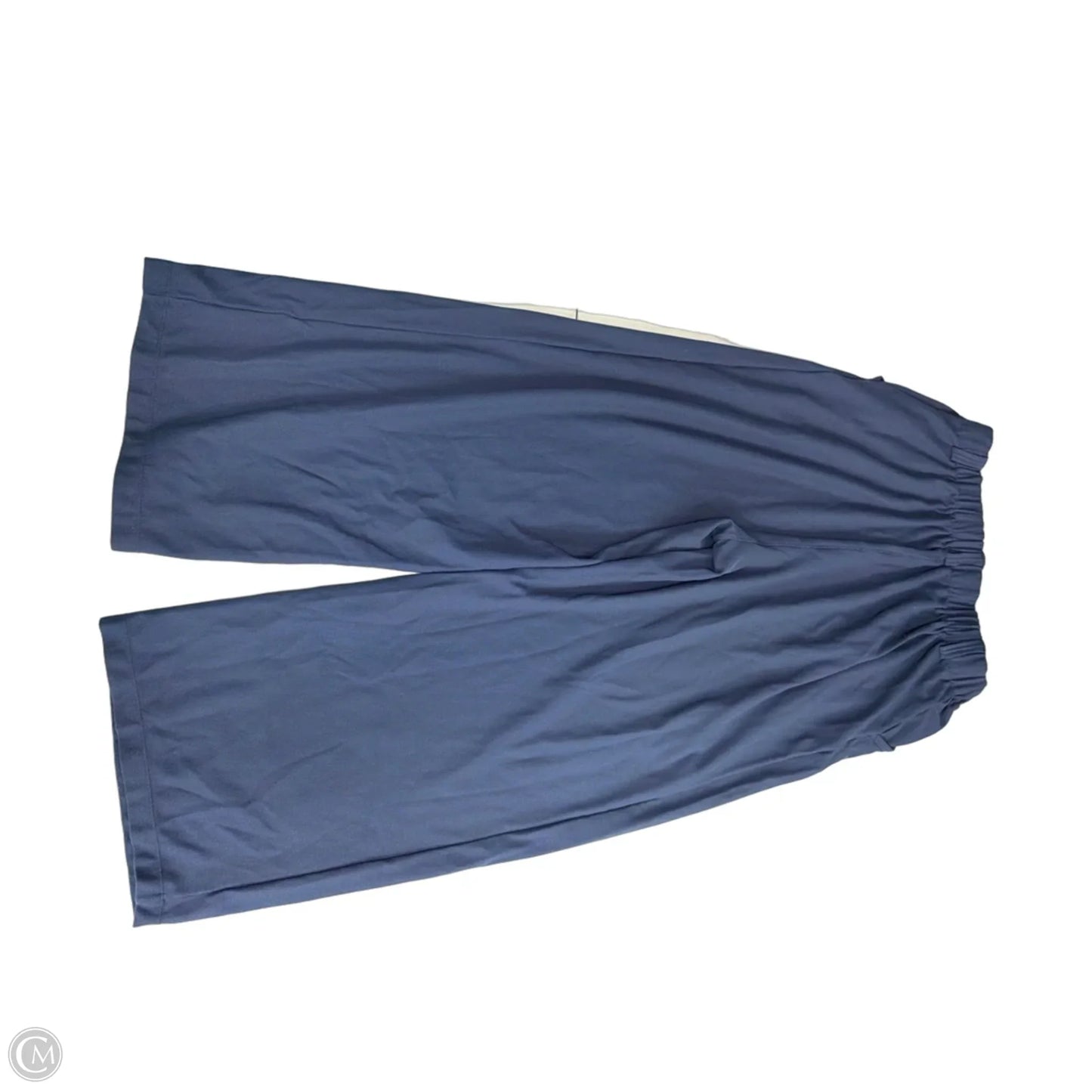 Pants Wide Leg By Halara In Blue, Size: L