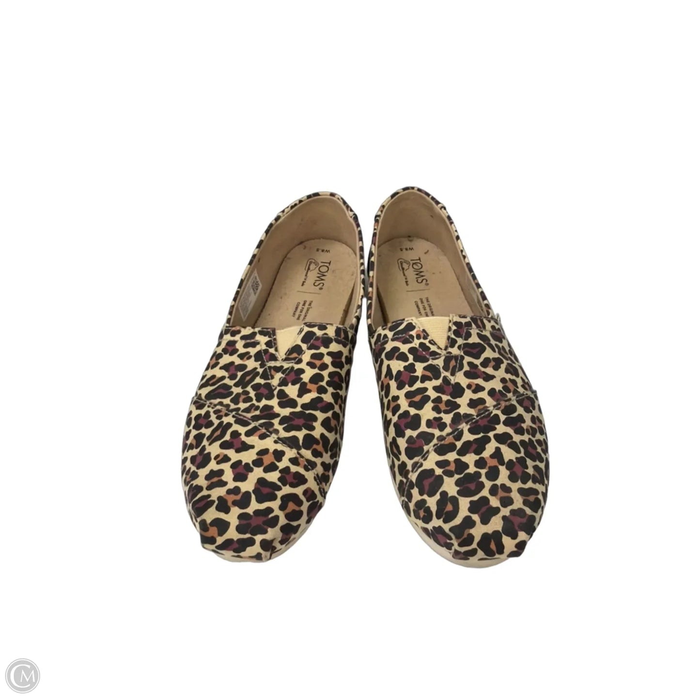 Shoes Flats By Toms In Animal Print, Size: 8.5
