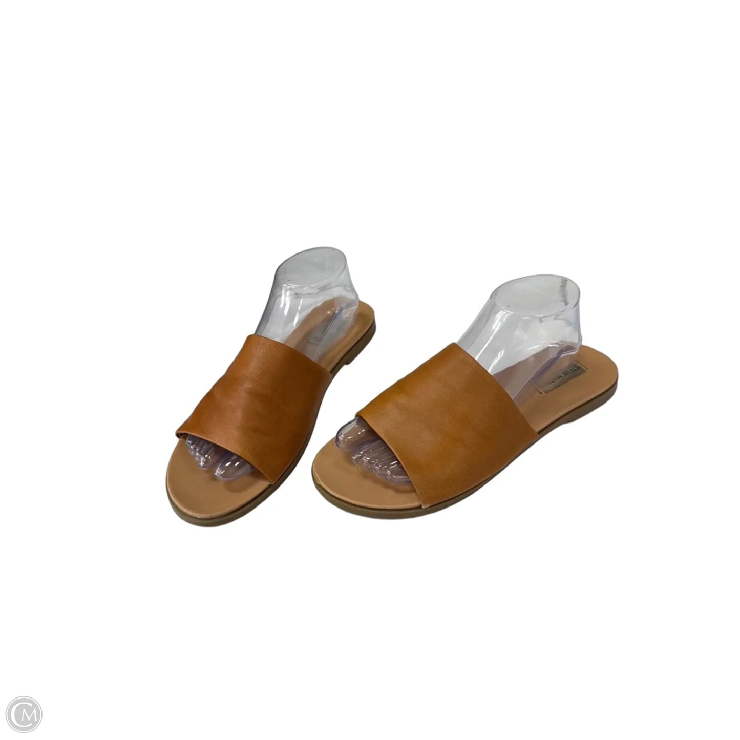 Sandals Flats By Steve Madden In Brown, Size: 10