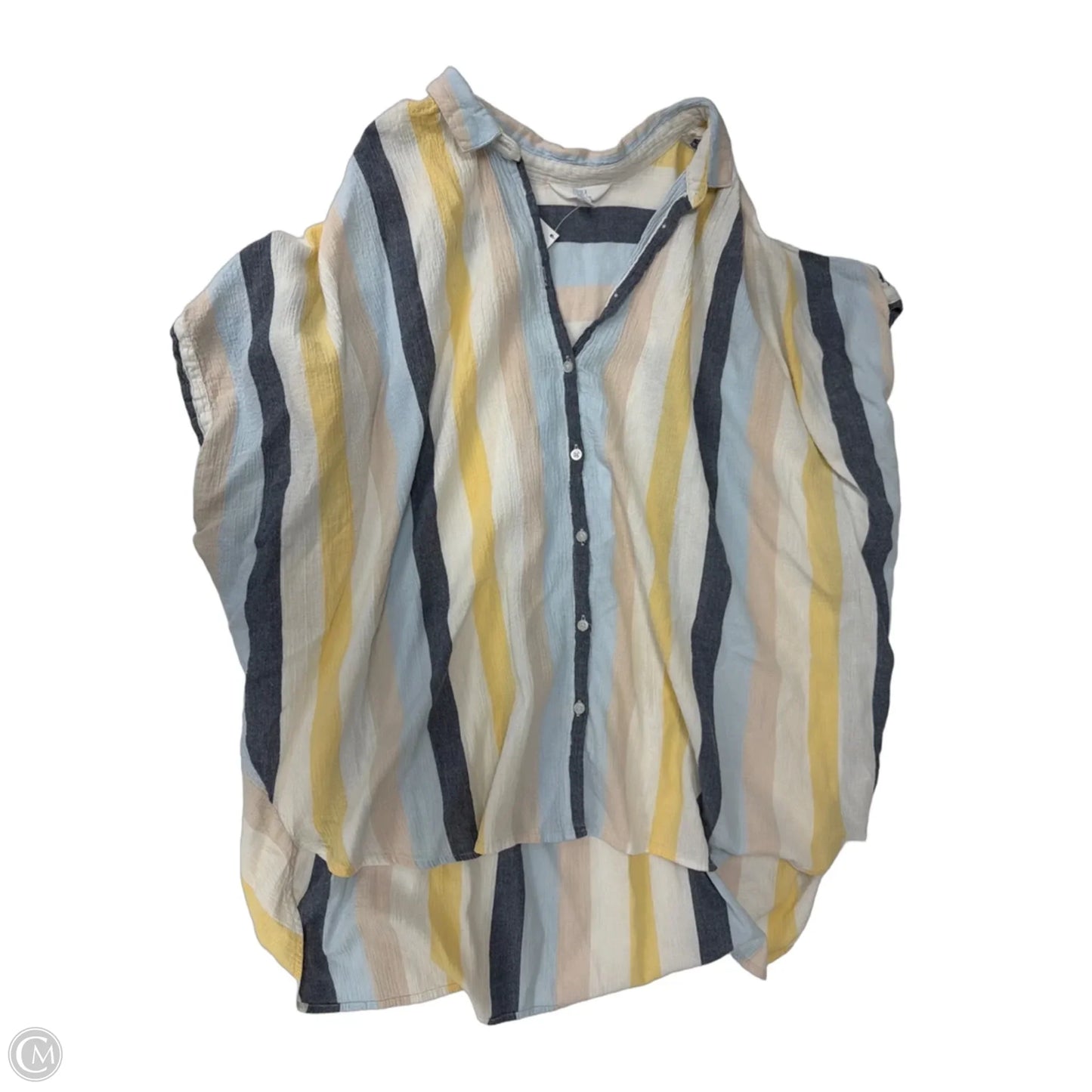 Top Short Sleeve By Time And Tru In Striped Pattern, Size: 1x
