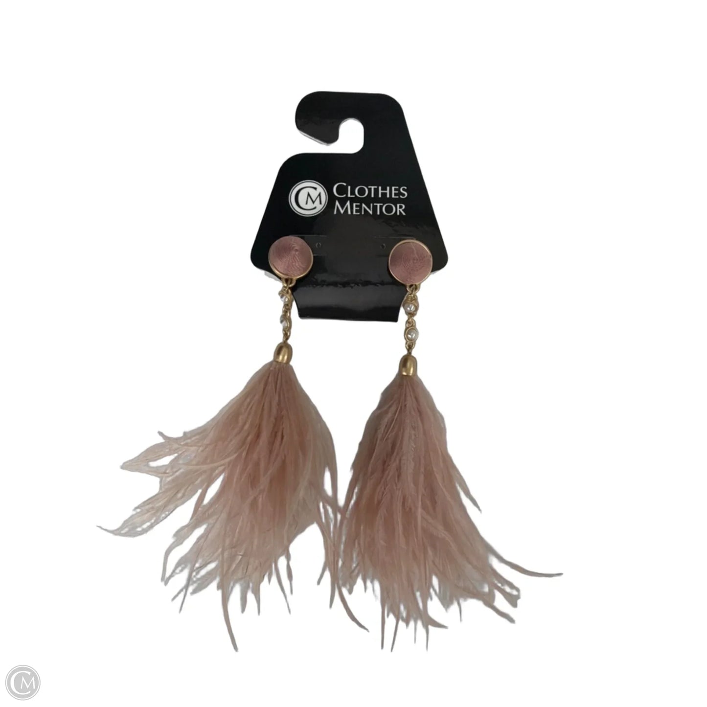 Earrings Dangle/drop By Clothes Mentor