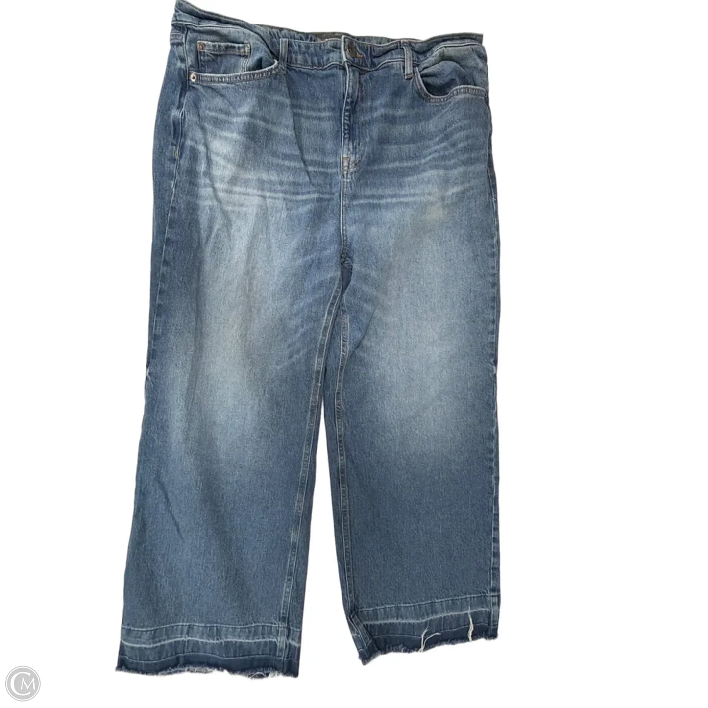 Jeans Wide Leg By Torrid In Blue Denim, Size: 16