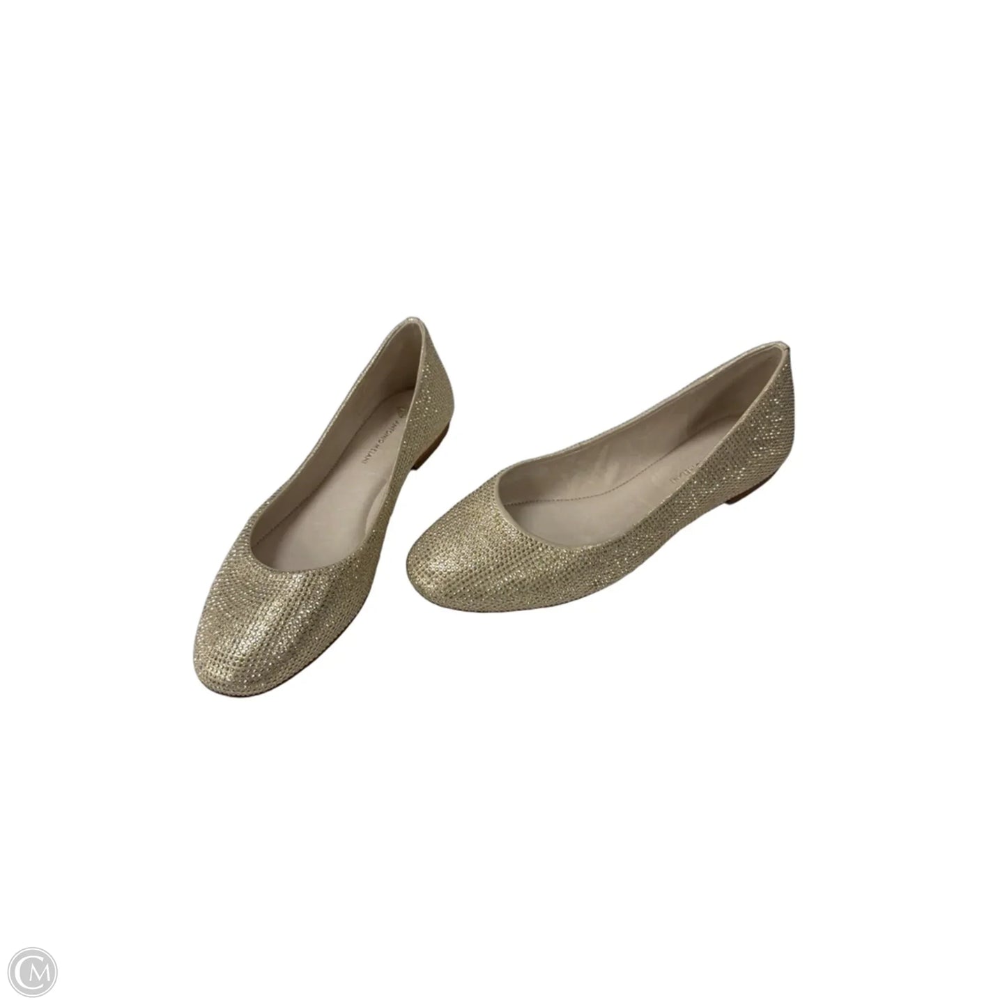 Shoes Flats By Antonio Melani In Gold, Size: 8.5