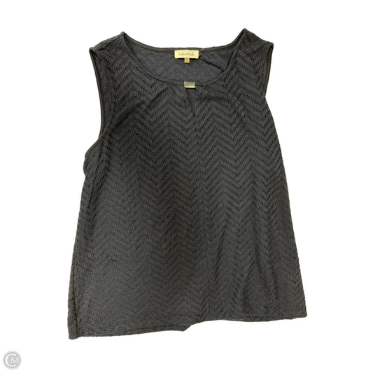 Top Sleeveless By Calvin Klein In Navy, Size: 2x