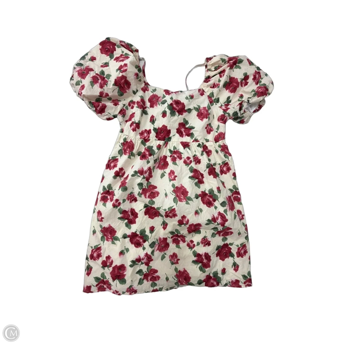 Dress Casual Short By Clothes Mentor In Floral Print, Size: L