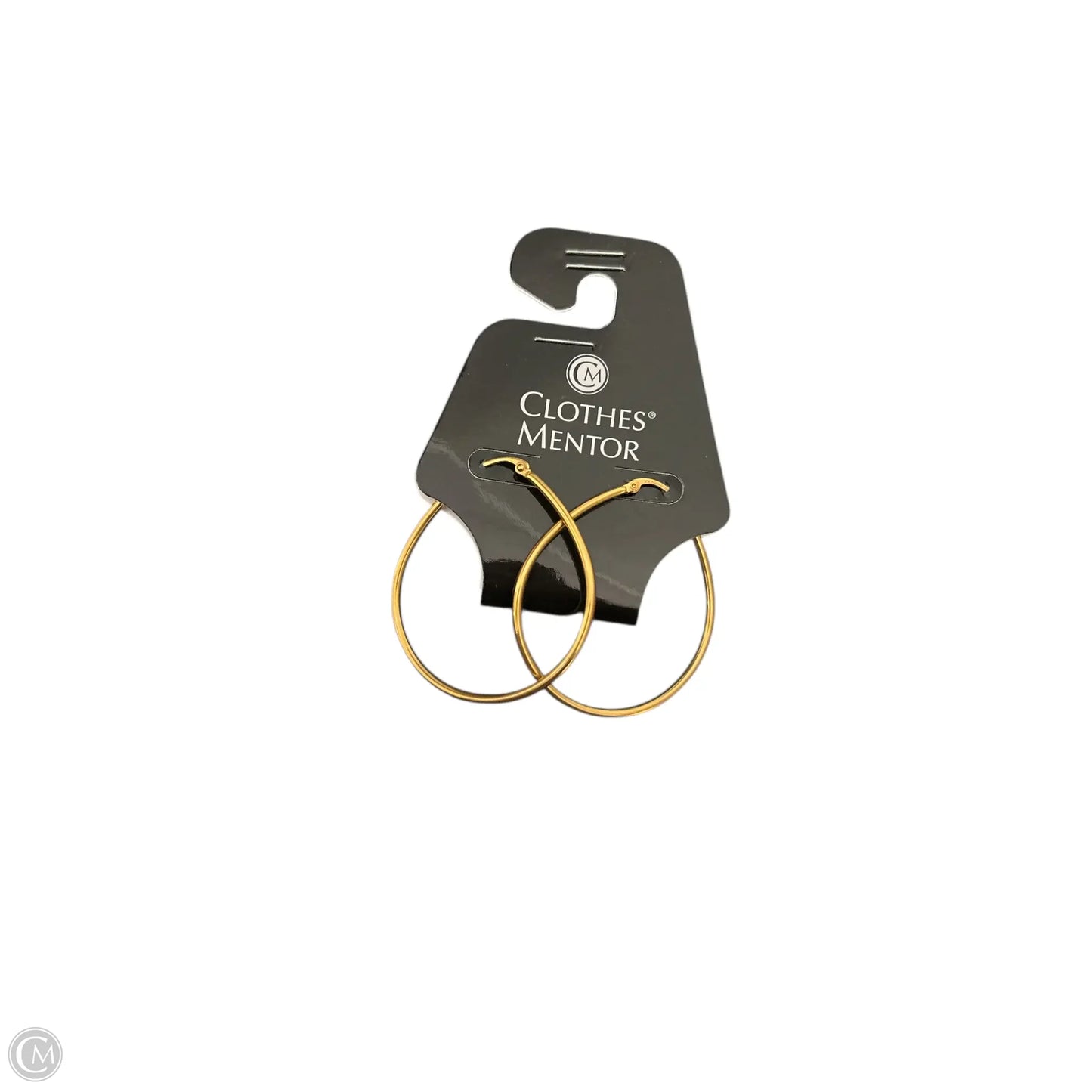 Earrings Other By Clothes Mentor