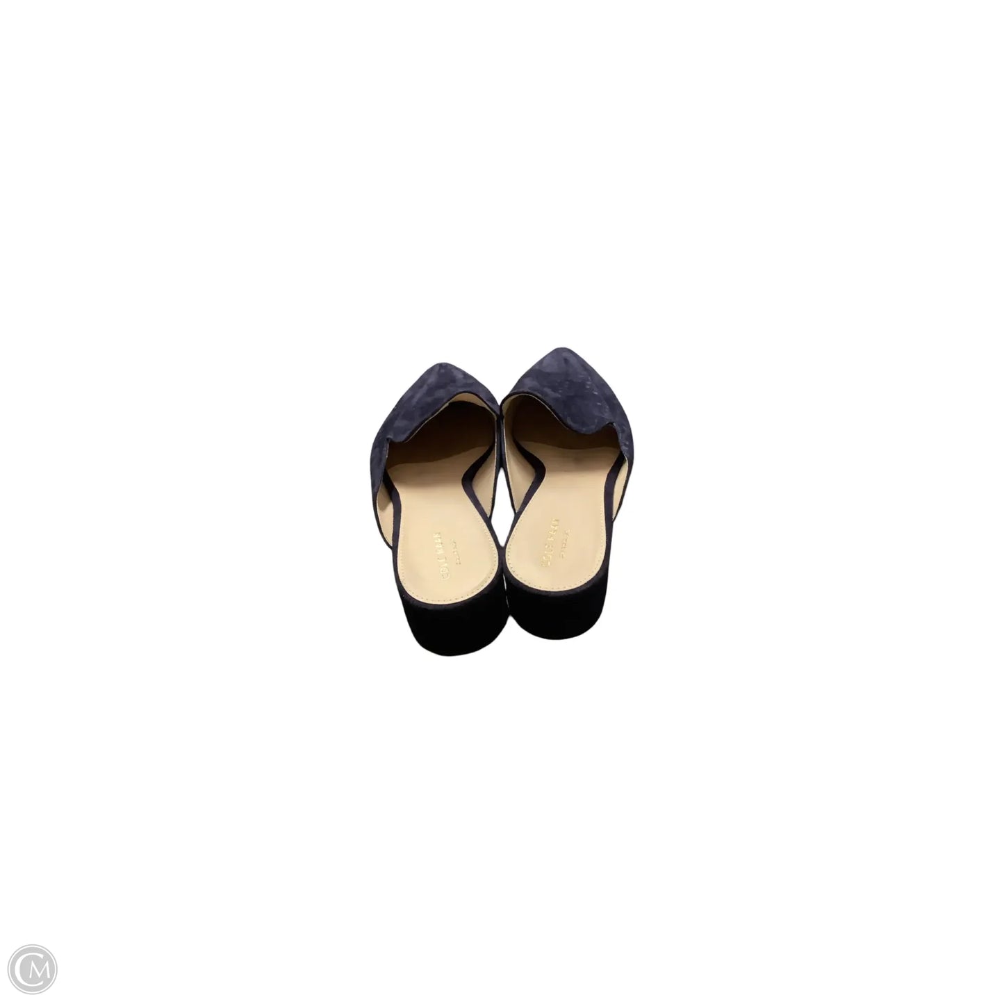 Shoes Flats By Cole-haan In Navy, Size: 9.5