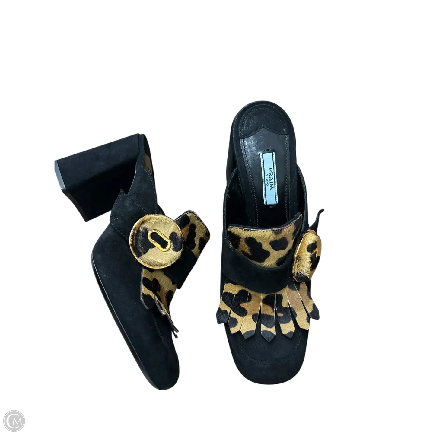 Shoes Luxury Designer By Prada In Animal Print