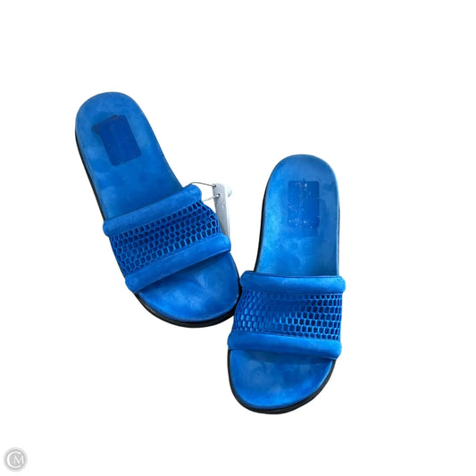 Shoes Luxury Designer By Alexander Wang In Blue, Size: 8