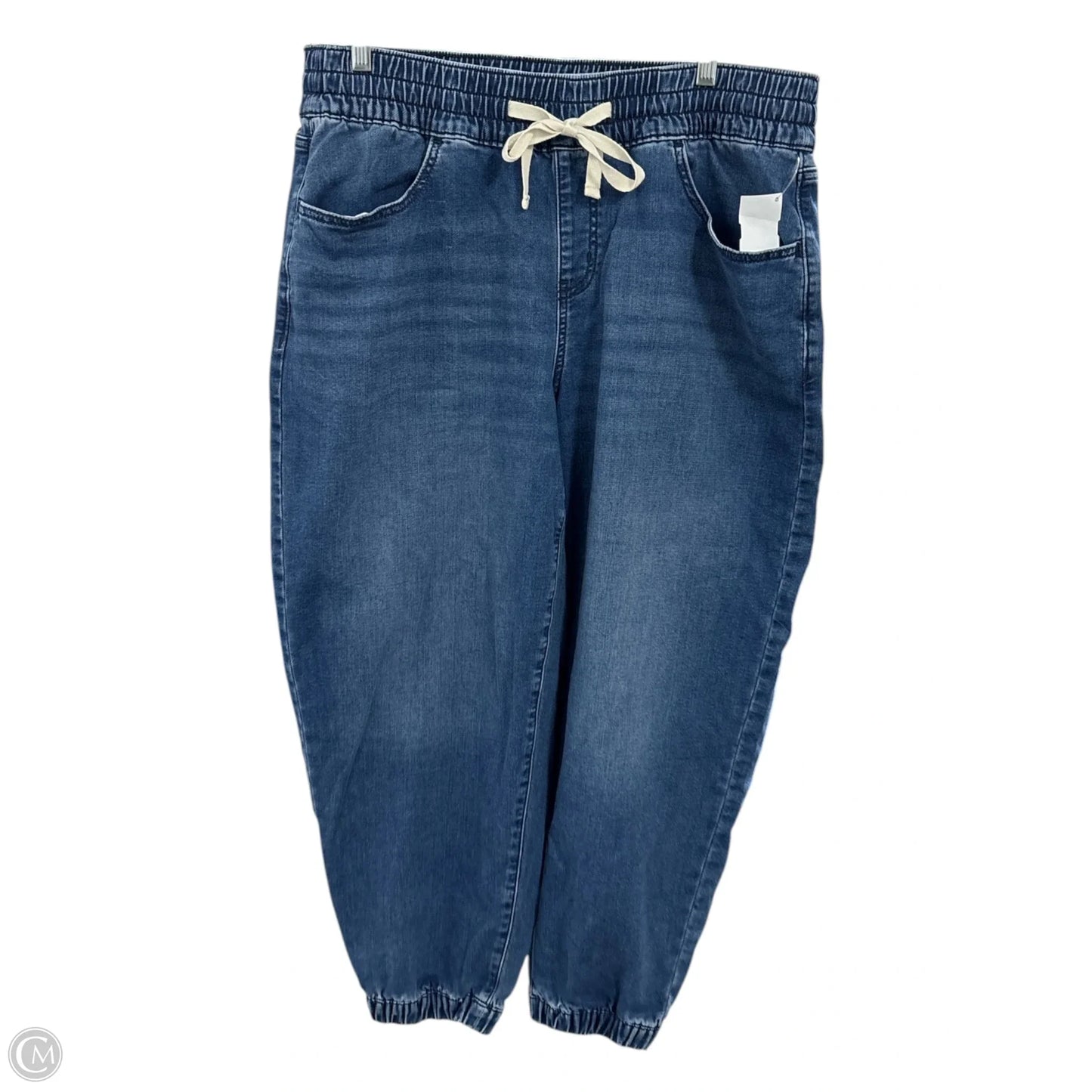 Jeans Wide Leg By Lane Bryant In Blue, Size: 14