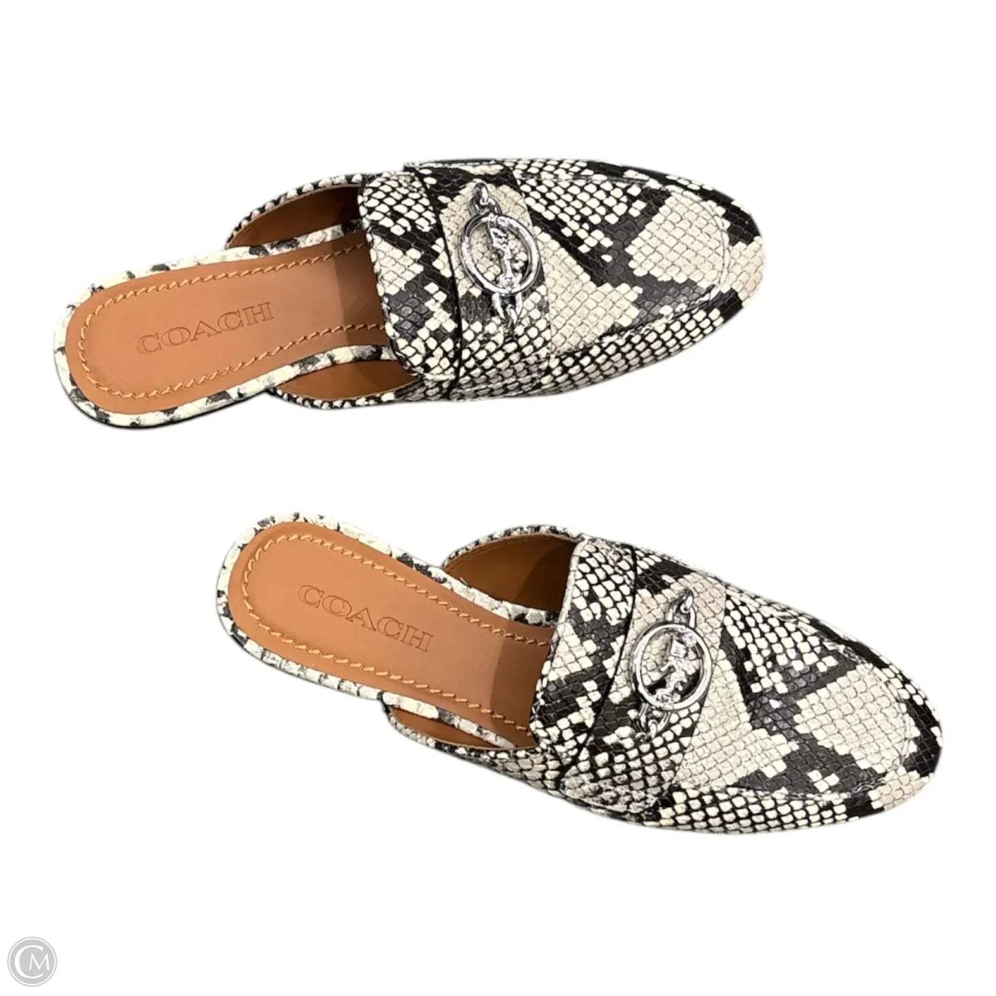 Shoes Designer By Coach In Snakeskin Print, Size: 7