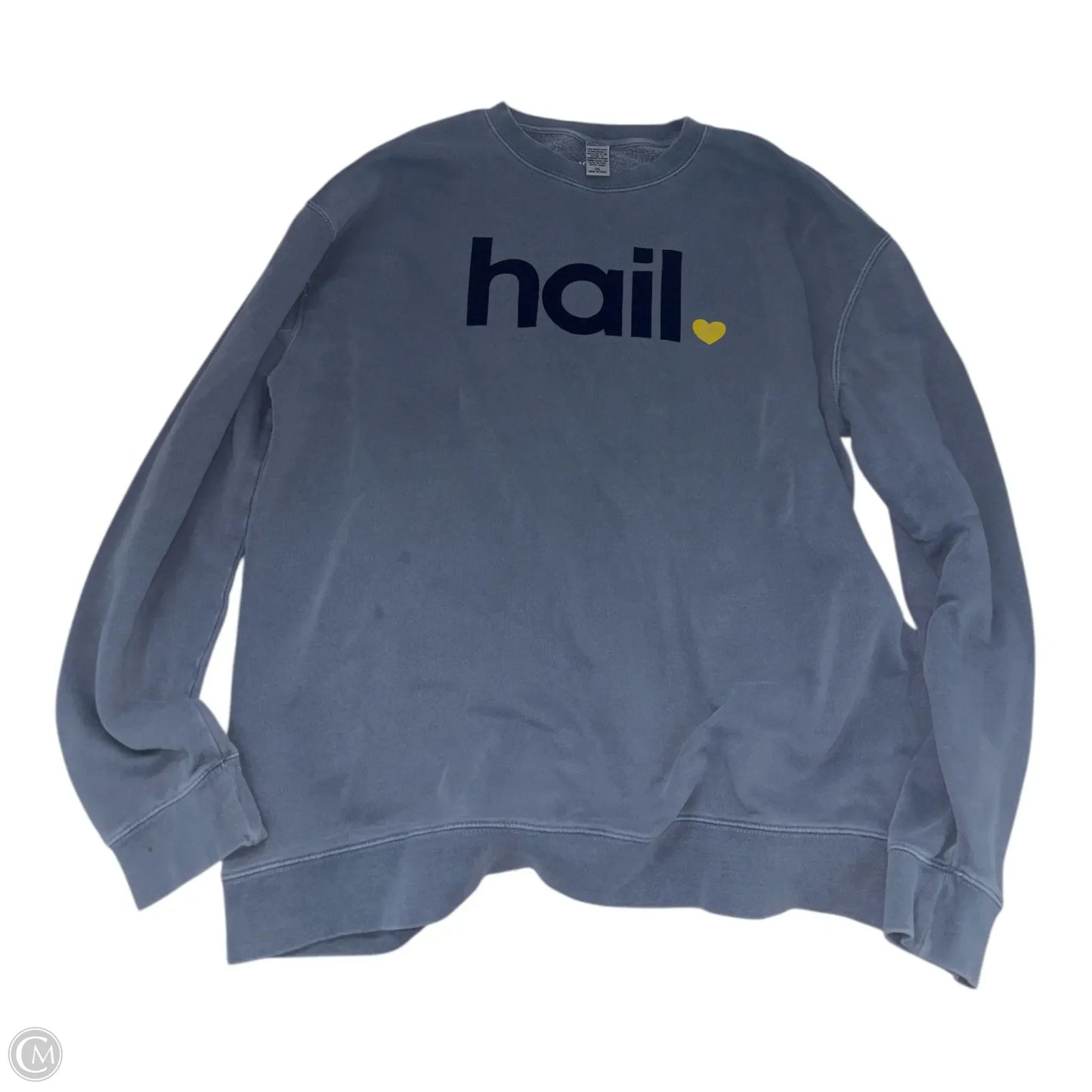 Sweatshirt Crewneck By Clothes Mentor In Blue, Size: 2x