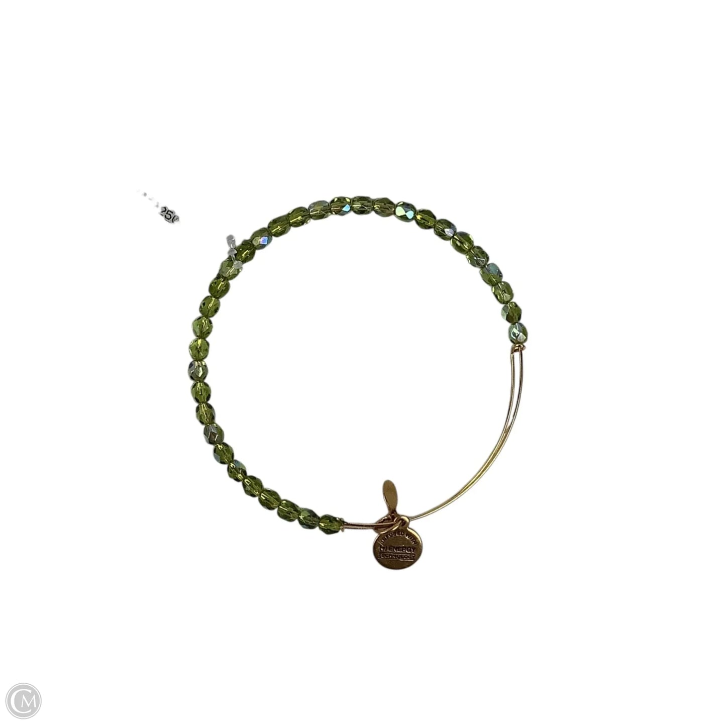 Bracelet Bangle By Alex And Ani