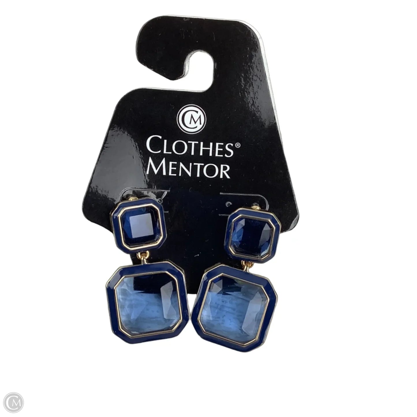 Earrings Dangle/drop By Clothes Mentor