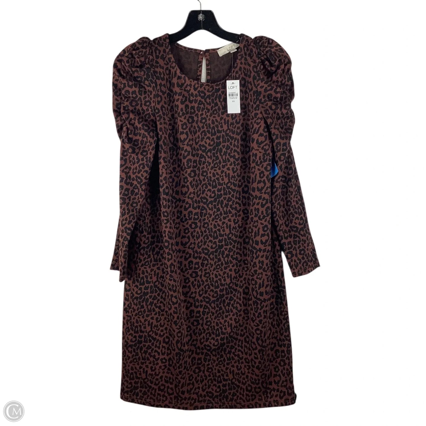 Dress Casual Short By Loft In Animal Print, Size: Xs