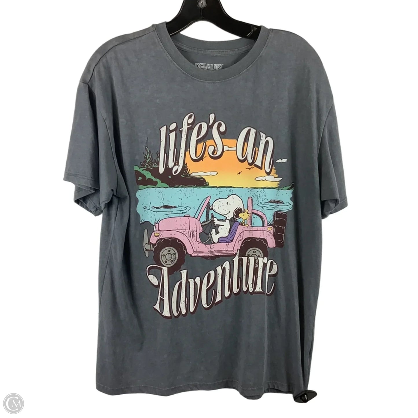 Top Short Sleeve Basic By Clothes Mentor In Grey, Size: M
