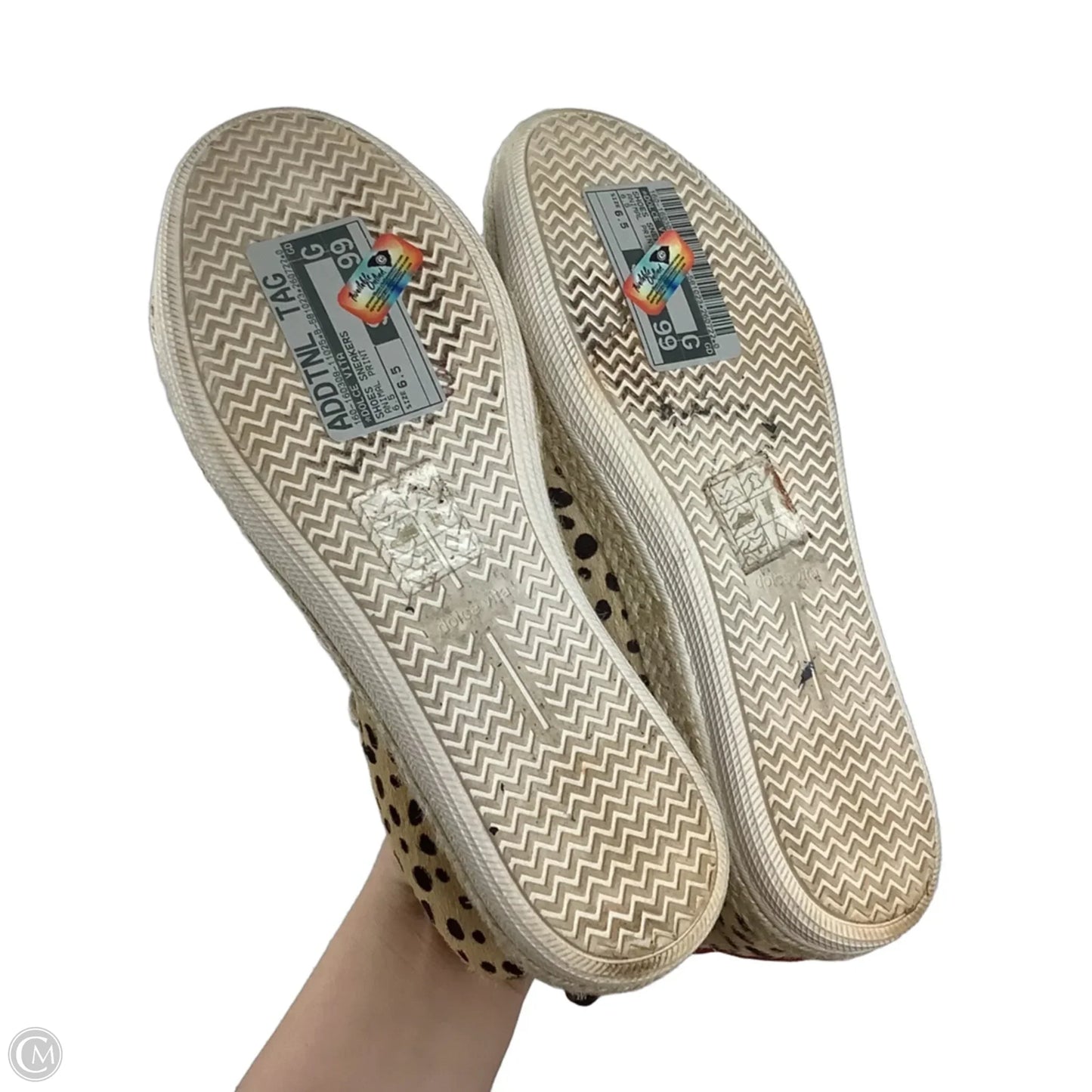 Shoes Sneakers By Dolce Vita In Animal Print, Size: 6.5