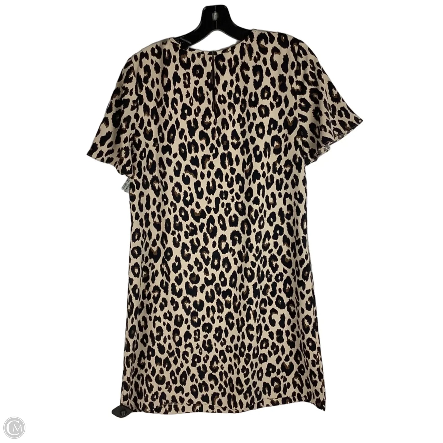 Dress Work By Ann Taylor In Animal Print, Size: 6