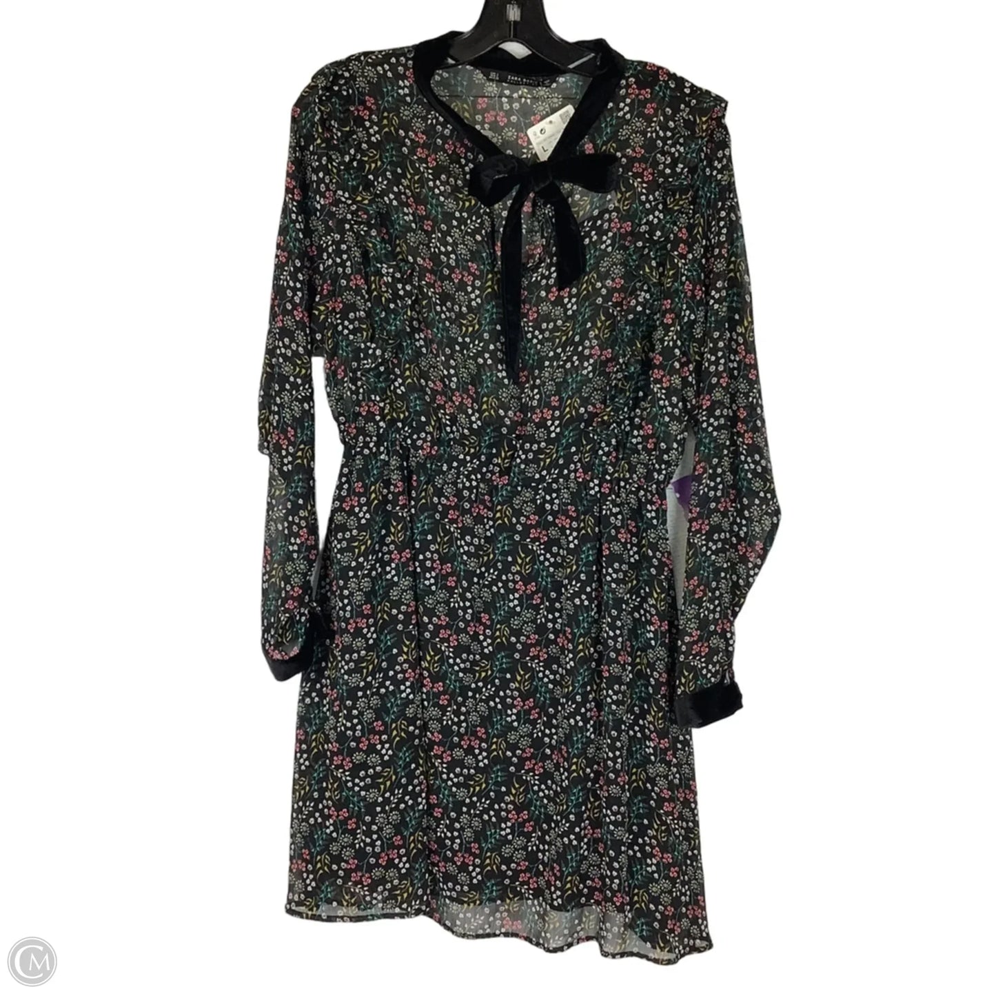 Dress Casual Short By Zara In Floral Print, Size: L