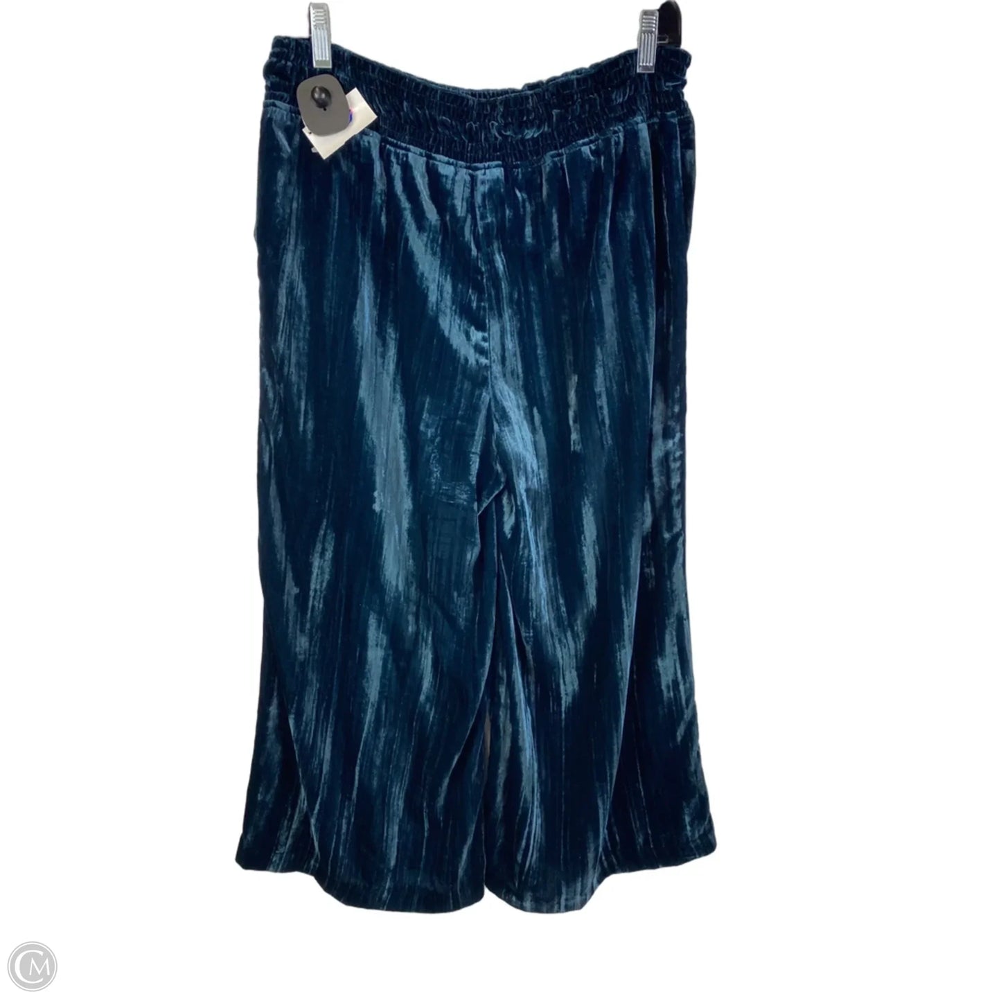 Pants Other By Anthropologie In Blue, Size: S