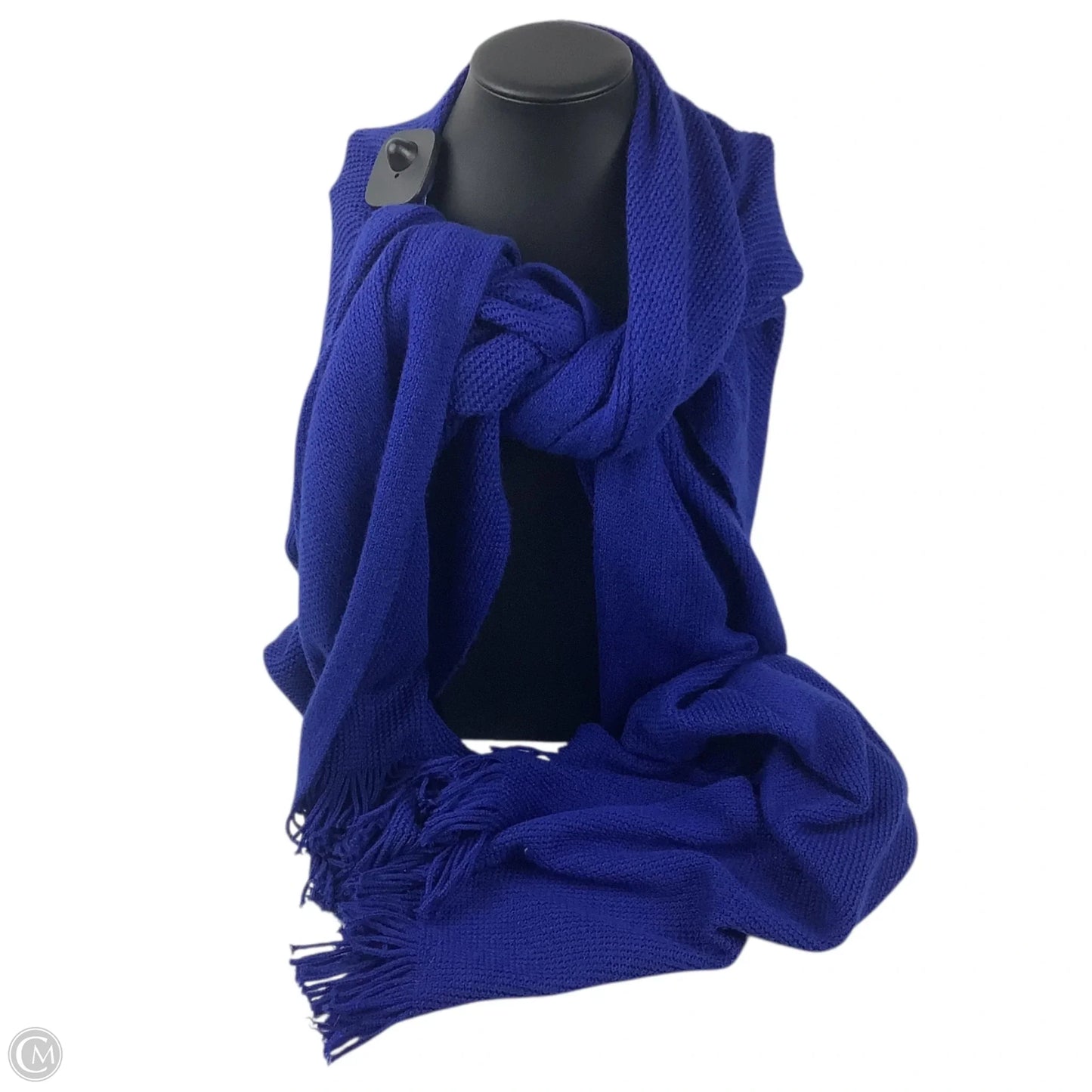 Scarf Winter By Chicos In Blue