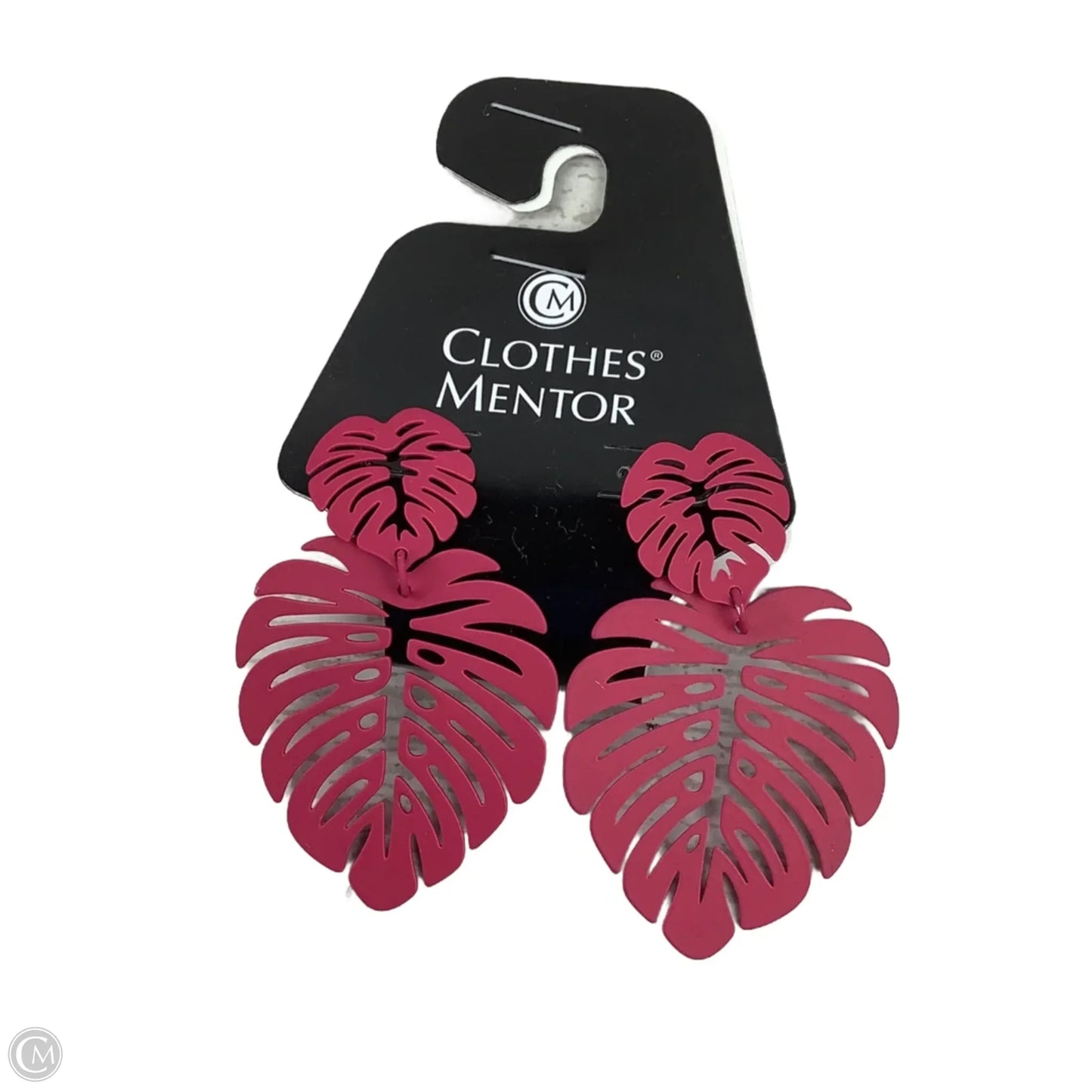Earrings Dangle/drop By Chicos