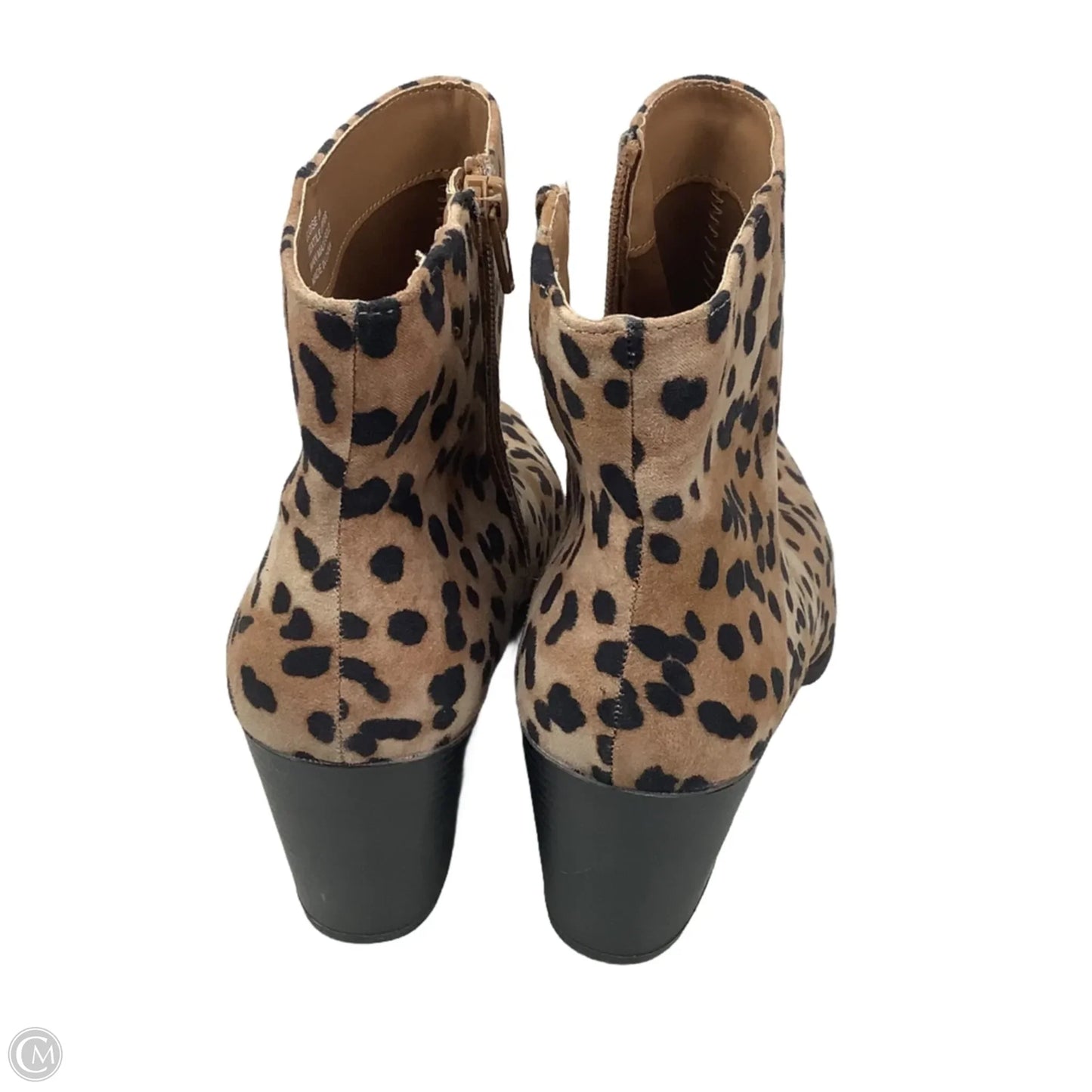 Boots Ankle Heels By Kaari Blue In Animal Print, Size: 9