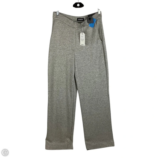 Pants Lounge By Express In Silver, Size: S