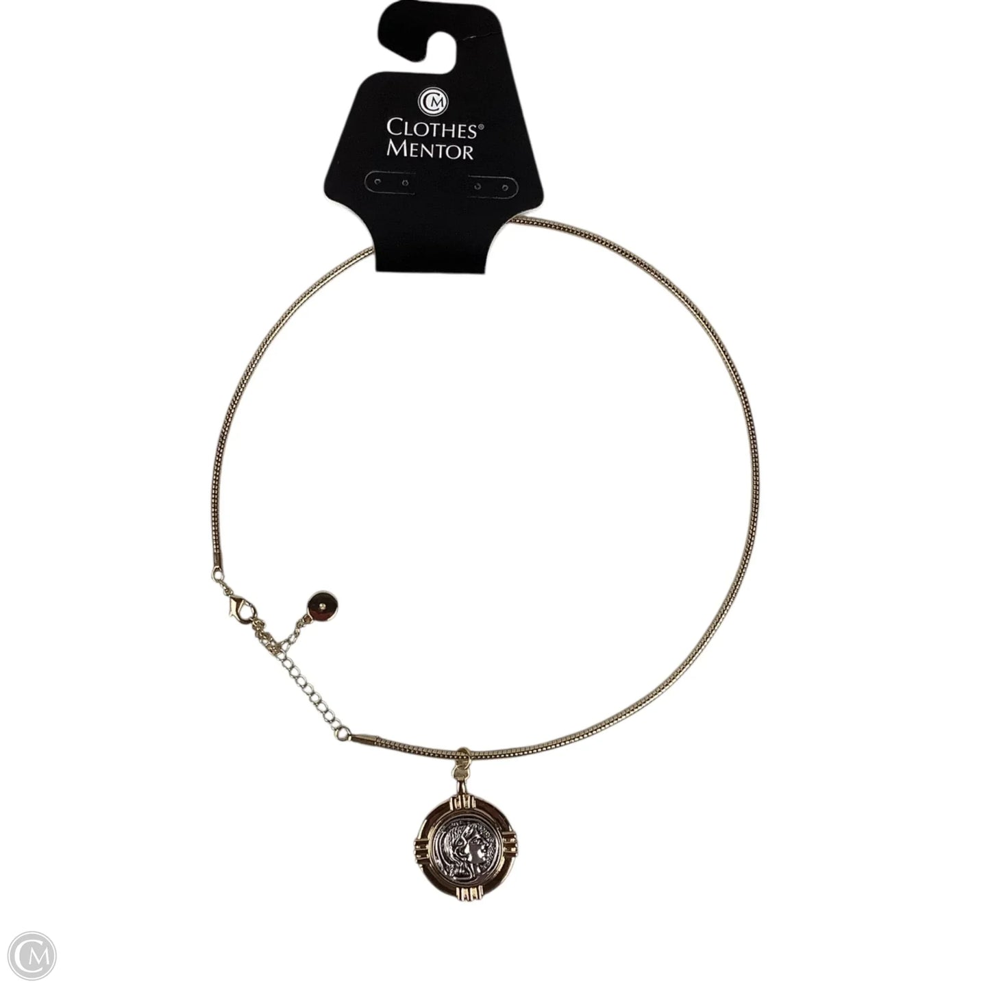 Necklace Pendant By Clothes Mentor