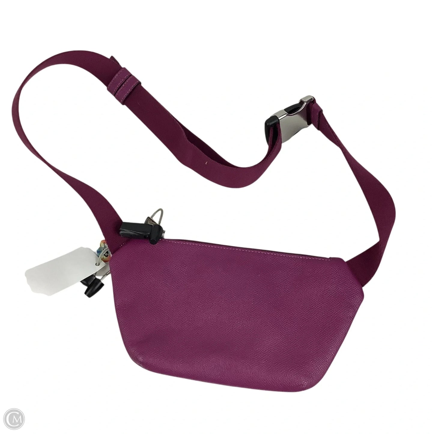Belt Bag Designer By Coach, Size: Medium