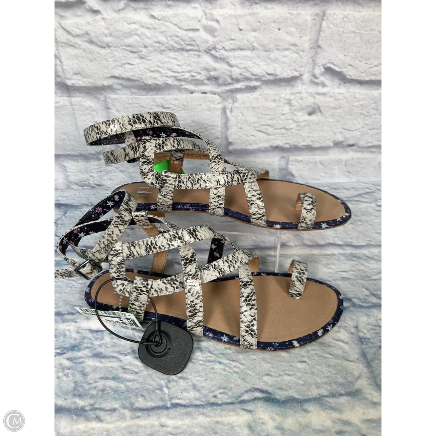 Shoes Flats By Cabi In Animal Print, Size: 9.5