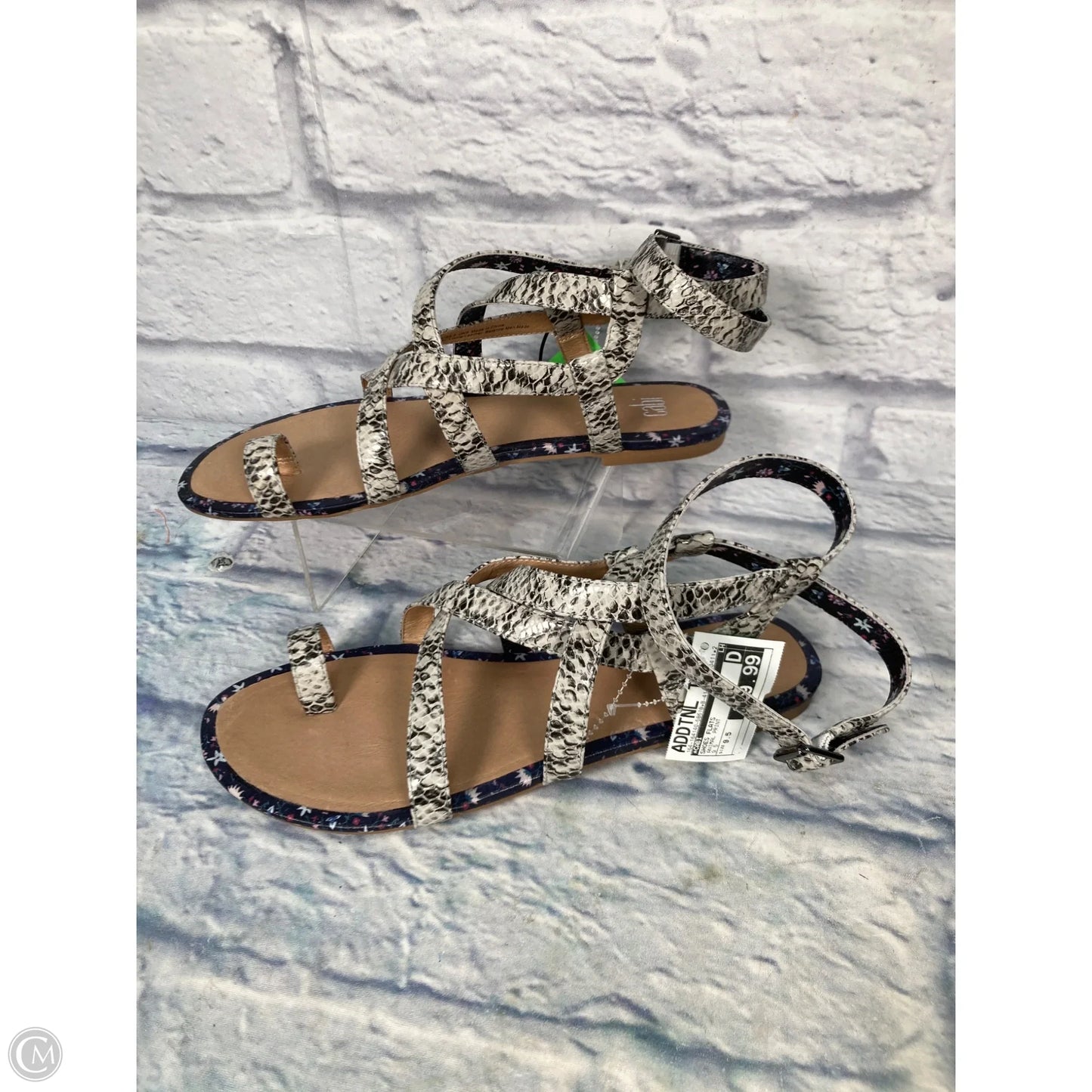 Shoes Flats By Cabi In Animal Print, Size: 9.5