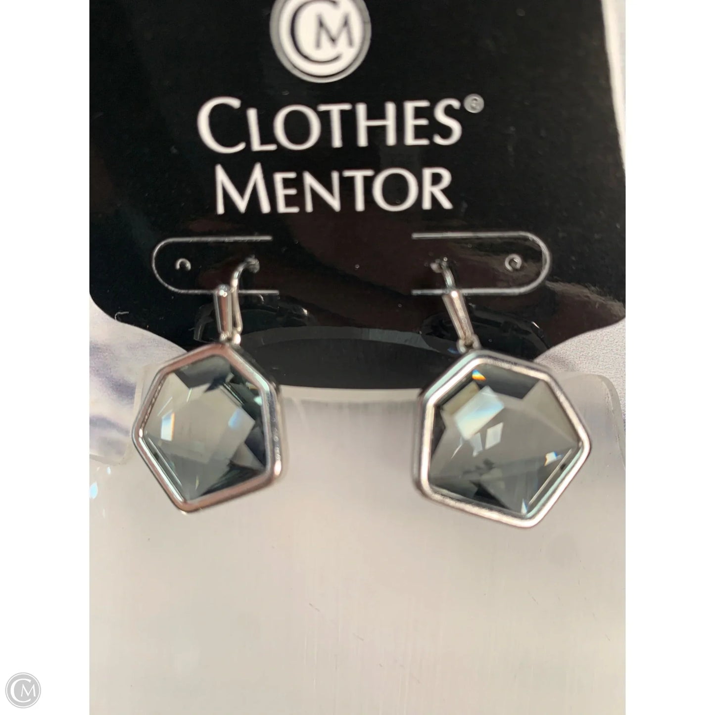 Earrings Dangle/drop By Kendra Scott