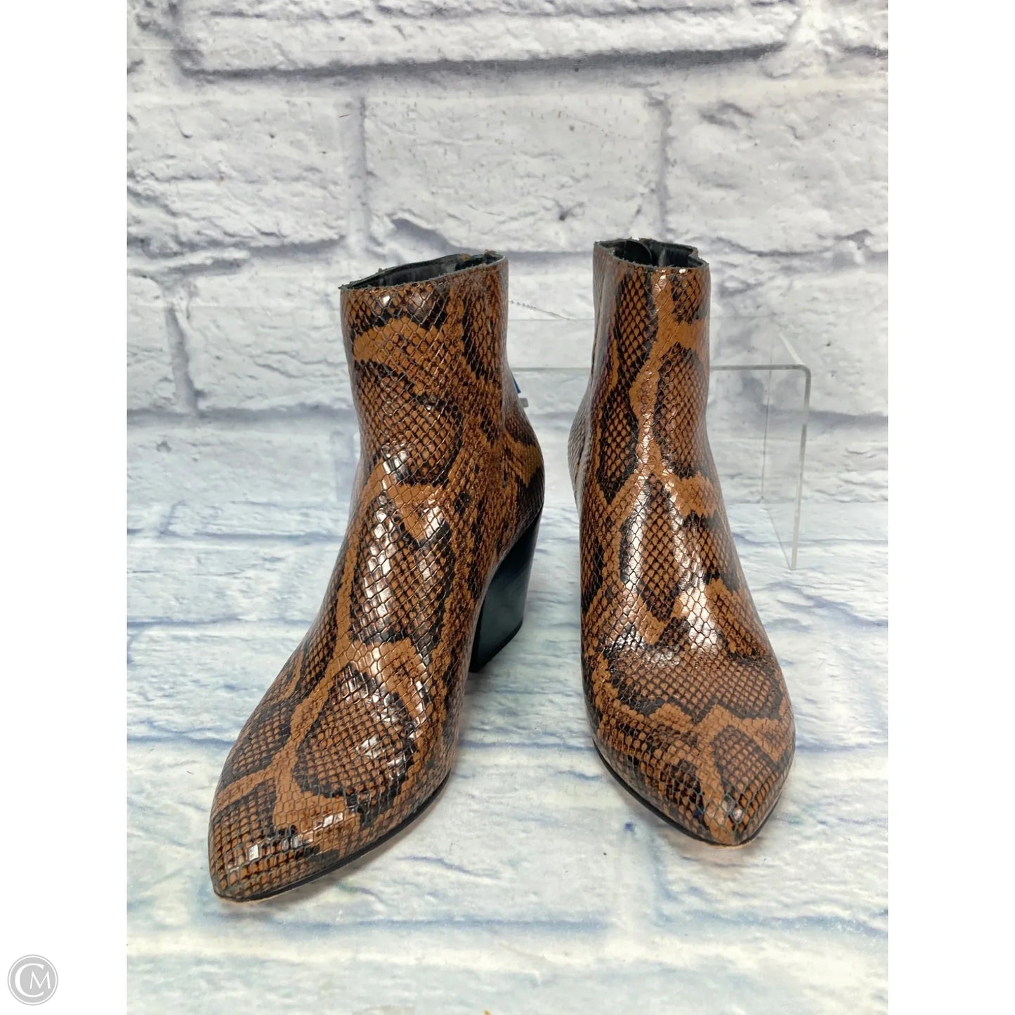 Boots Ankle Heels By Dolce Vita In Snakeskin Print, Size: 6.5