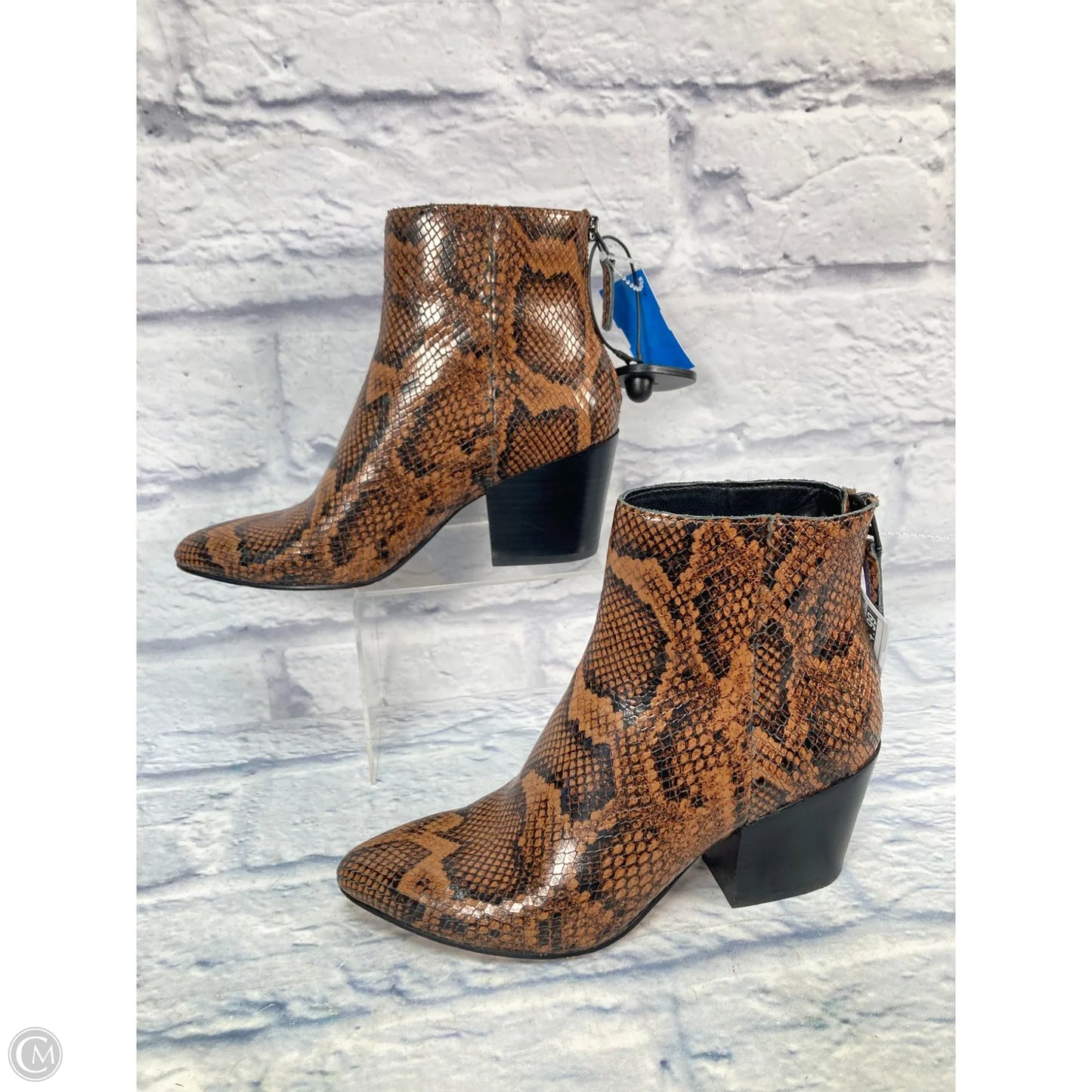 Boots Ankle Heels By Dolce Vita In Snakeskin Print, Size: 6.5